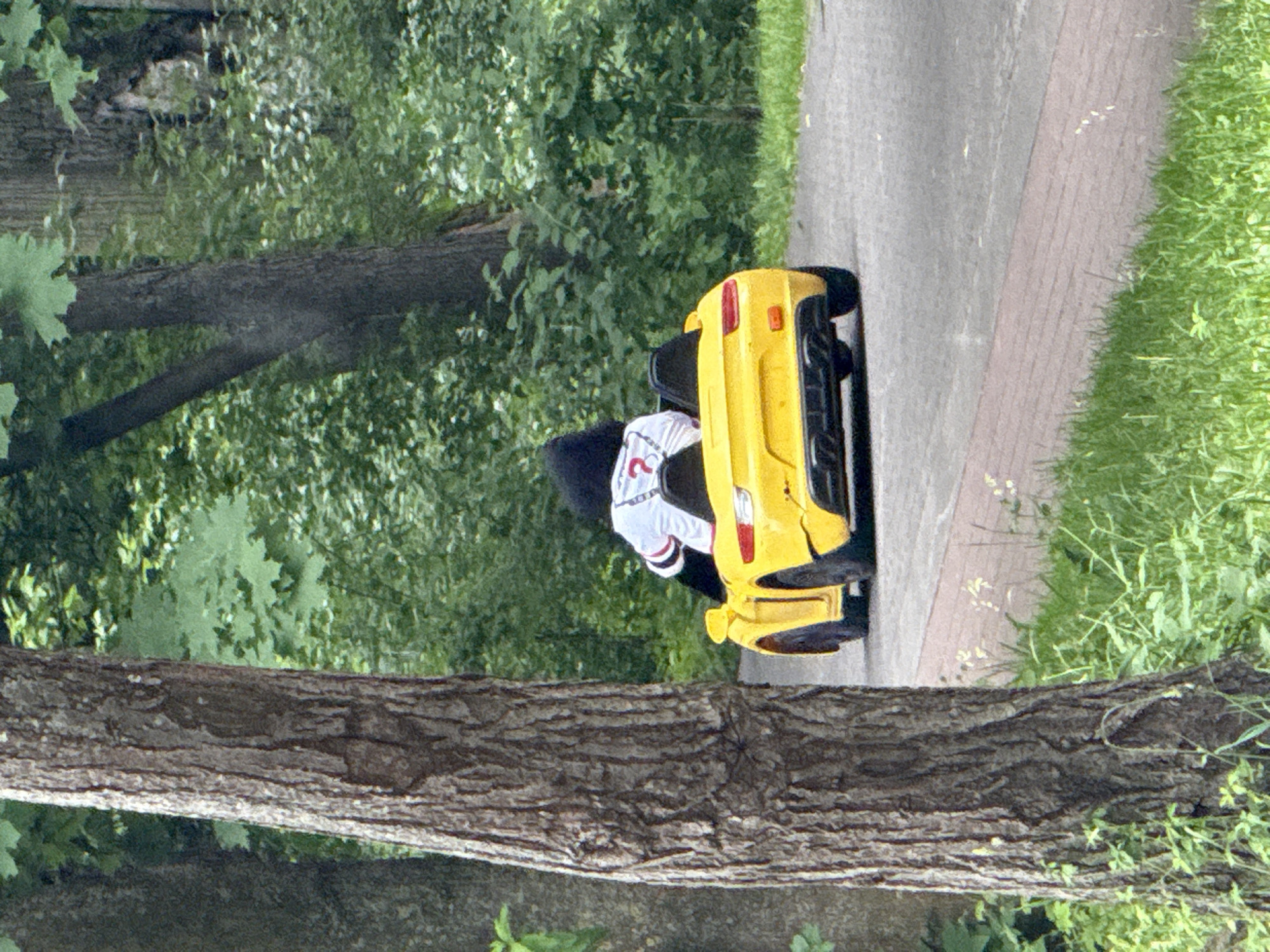 A person wearing a black furry costume with a white shirt bearing the number "2" is seated in a yellow toy car. The car is driving on a paved path that is flanked by grass and trees. The scene is set in a park with dense green foliage in the background. The image is taken from a slightly elevated perspective, with a large tree trunk partially obscuring the left side of the frame. The lighting suggests it is daytime. The specific location in Moscow, Russia cannot be determined from the visual information.