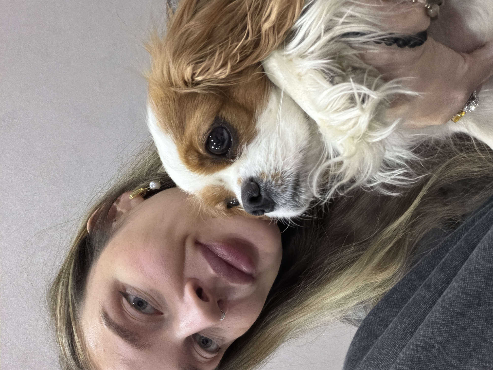 A woman with blonde hair and a nose ring is holding a Cavalier King Charles Spaniel. The woman is wearing a gray shirt. The location is not discernable from the image.