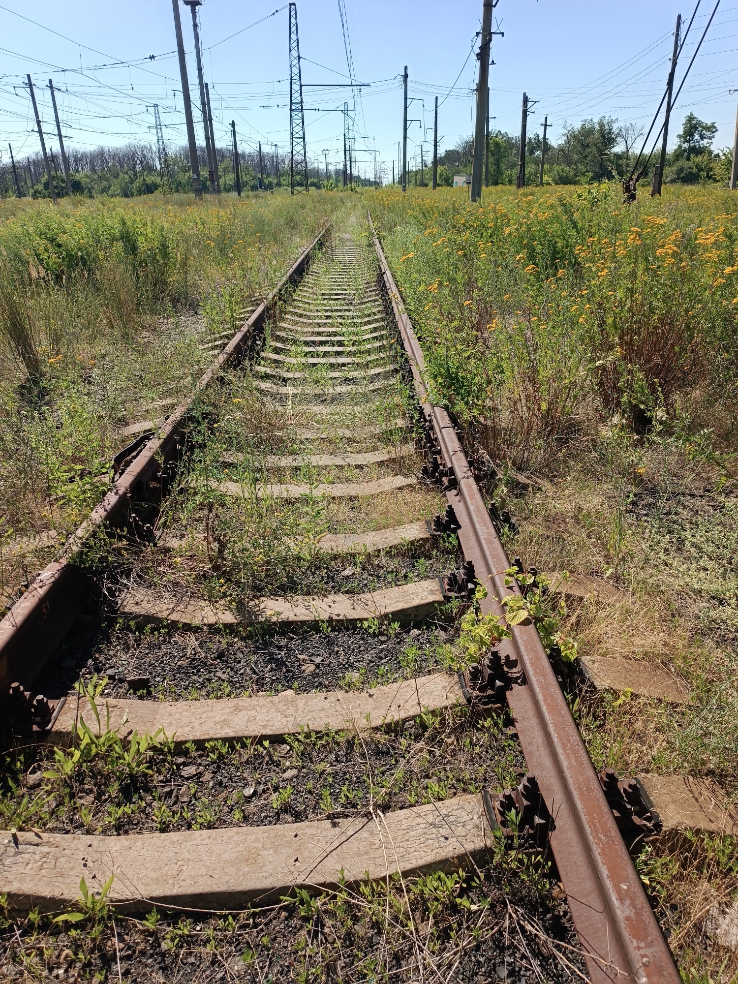 The image shows an abandoned railway track in Vuhlehirsk, Ukraine. The tracks are overgrown with weeds and wildflowers. In the background, there are power lines and trees. The sky is clear and blue. The scene suggests a disused industrial area.