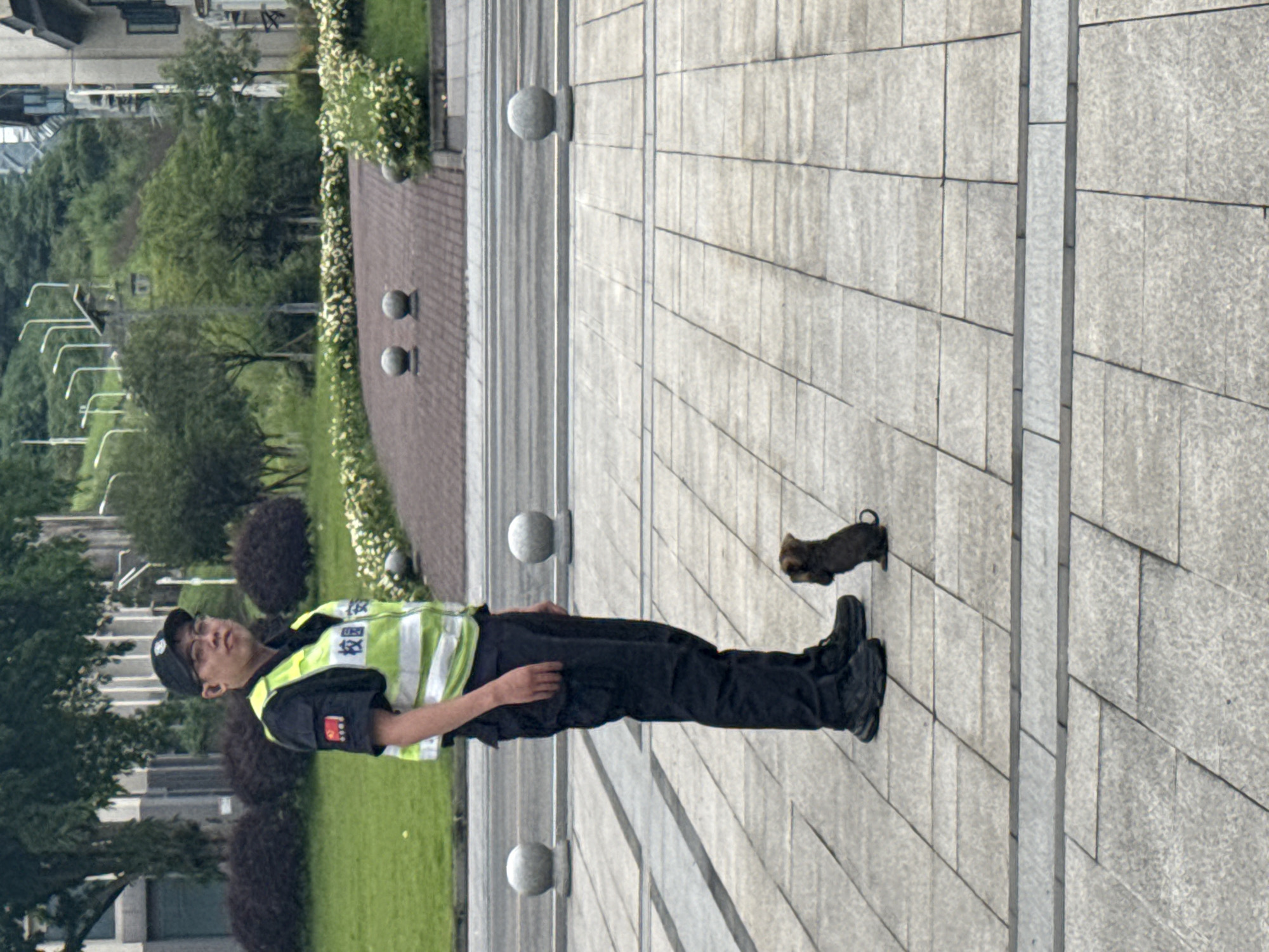 A man wearing a security guard uniform, including a black cap, glasses, a light green and white reflective vest, and black pants and shoes, stands on a concrete-tiled surface outdoors. A small brown dog stands to his right. The background includes a brick pathway, a row of spherical decorations, green bushes, and trees, indicating a park or garden setting. In the far background, there are building structures and streetlight-like structures. The location is Jiangjin, China.