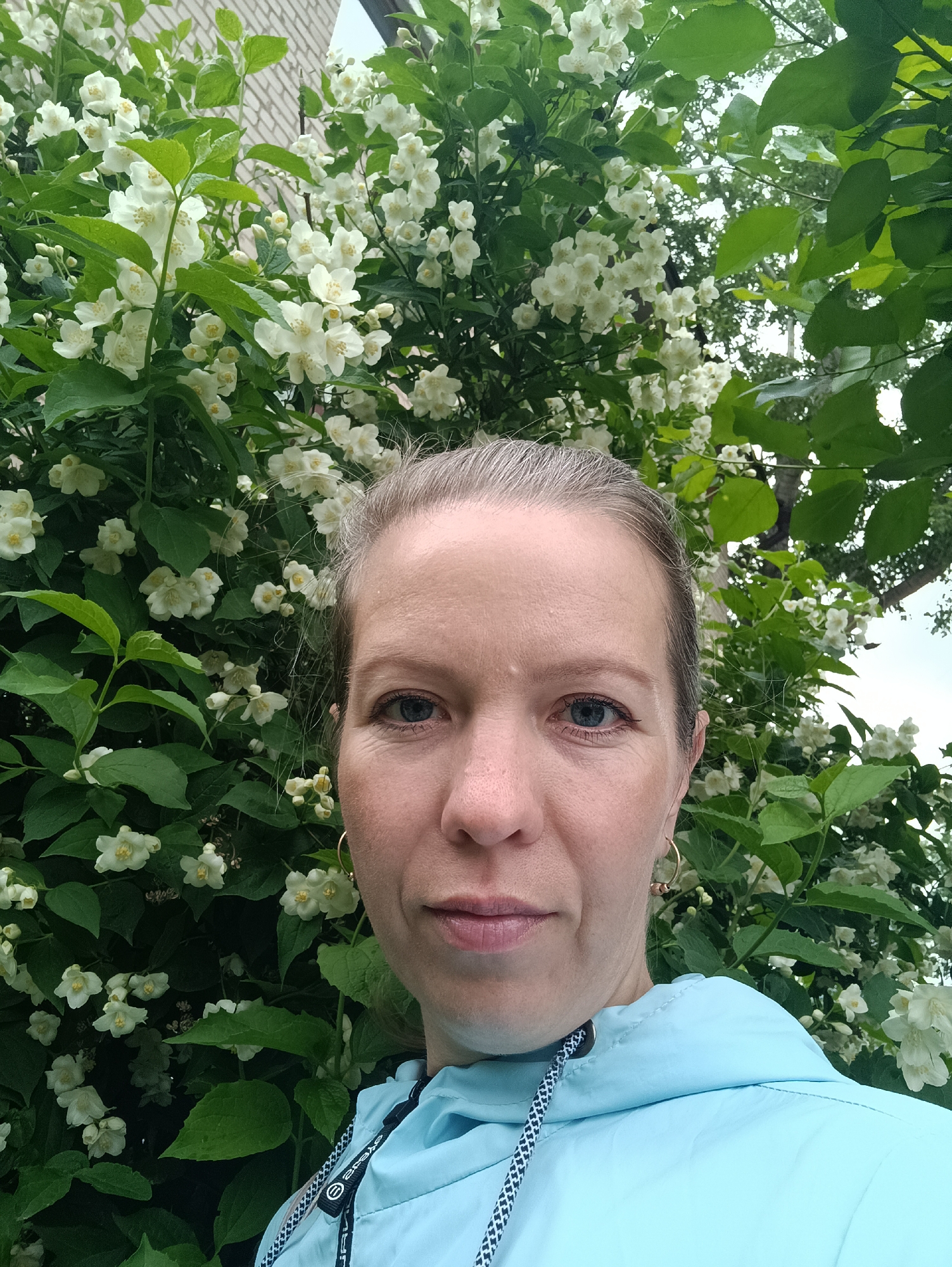 A woman is captured in a close-up selfie, positioned directly in front of a dense, blooming white flowering bush, likely mock orange or jasmine, in Chaikovsky, Russia. The woman has fair skin, light blue-grey eyes, and light-colored hair pulled back from her face. She maintains a neutral expression, looking directly into the camera. She is wearing a light blue, possibly hooded, jacket with a distinct black and white patterned drawstring visible at the neckline. Small gold hoop earrings adorn her ears.
The background is dominated by the profusion of white flowers with yellow centers and vibrant green leaves of the bush, which extends well above and around the woman. Through the upper left portion of the foliage, a light-colored brick wall of a building is partially visible. Further back on the right, additional green trees and a bright, possibly overcast sky are discernible. The soft, even lighting suggests it is daytime. Some faint, illegible text appears on a small tag attached to the jacket's drawstring.