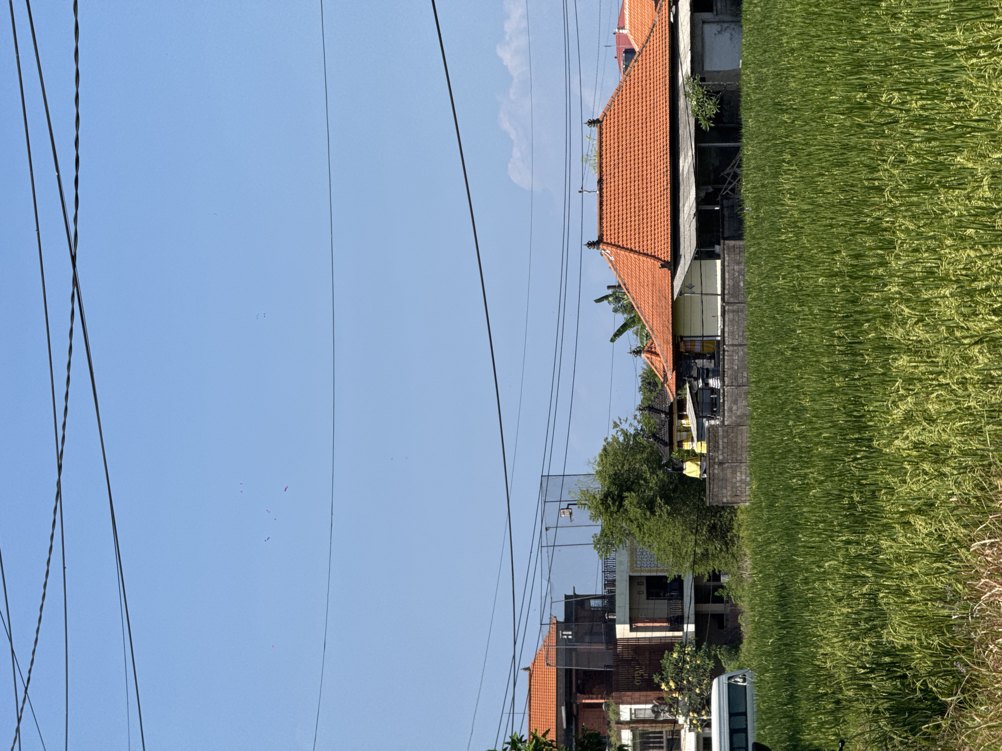 A serene scene unfolds in Sukawati, Indonesia, where a vibrant green rice field dominates the foreground. The lush crop sways gently under a clear blue sky, punctuated by a few wispy clouds and thin, dark power lines crisscrossing the upper frame. In the middle ground, traditional Balinese houses with distinctive orange tiled roofs stand nestled among trees and modern structures. A white van is parked on the left, and a glimpse of a net enclosure with a basketball hoop can be seen in the distance. The atmosphere is tranquil, capturing a typical day in this Indonesian locale.