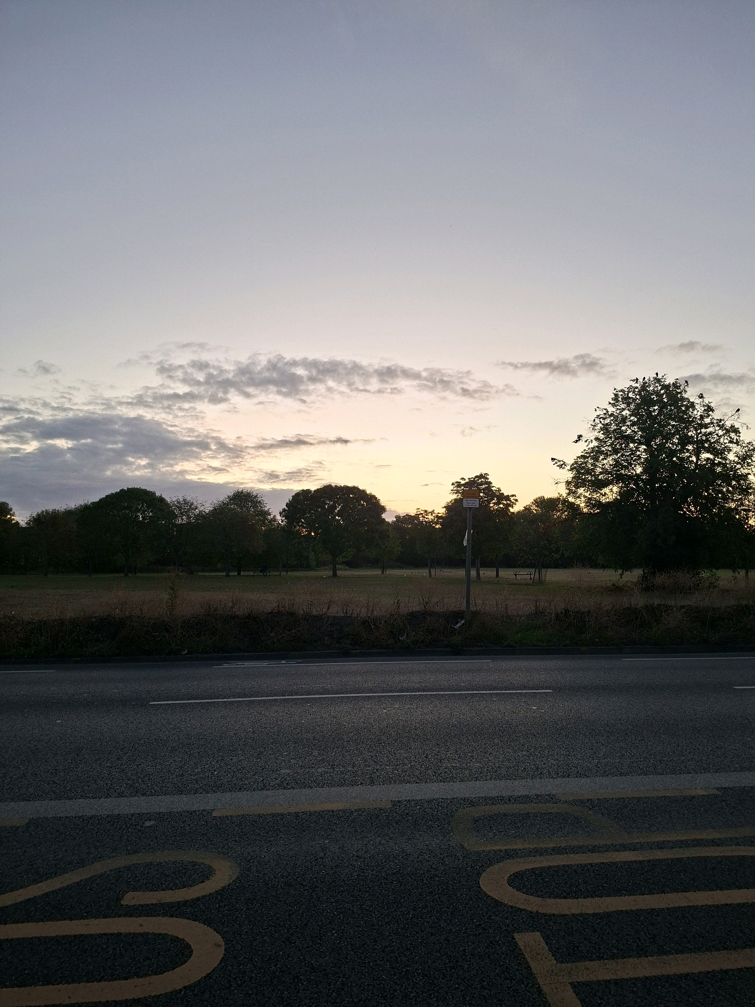This is a photograph of a roadside scene at dusk. In the foreground, a section of asphalt road is visible with yellow road markings, likely indicating a bus stop. Beyond the road, a grassy field with scattered trees stretches into the distance. A solitary lamppost stands near the edge of the field, and a bench is visible in the middle distance. The sky above is a pale gradient of blues and pinks, with thin clouds streaking across it, suggesting the last light of sunset or the approaching twilight. The scene appears to be in a park or a common area bordering a road. There are no people visible in the image. The overall impression is one of a quiet, undeveloped area transitioning from day to night. This scene could be located in a number of London boroughs, such as Epping Forest or Hampstead Heath, which feature such landscapes.