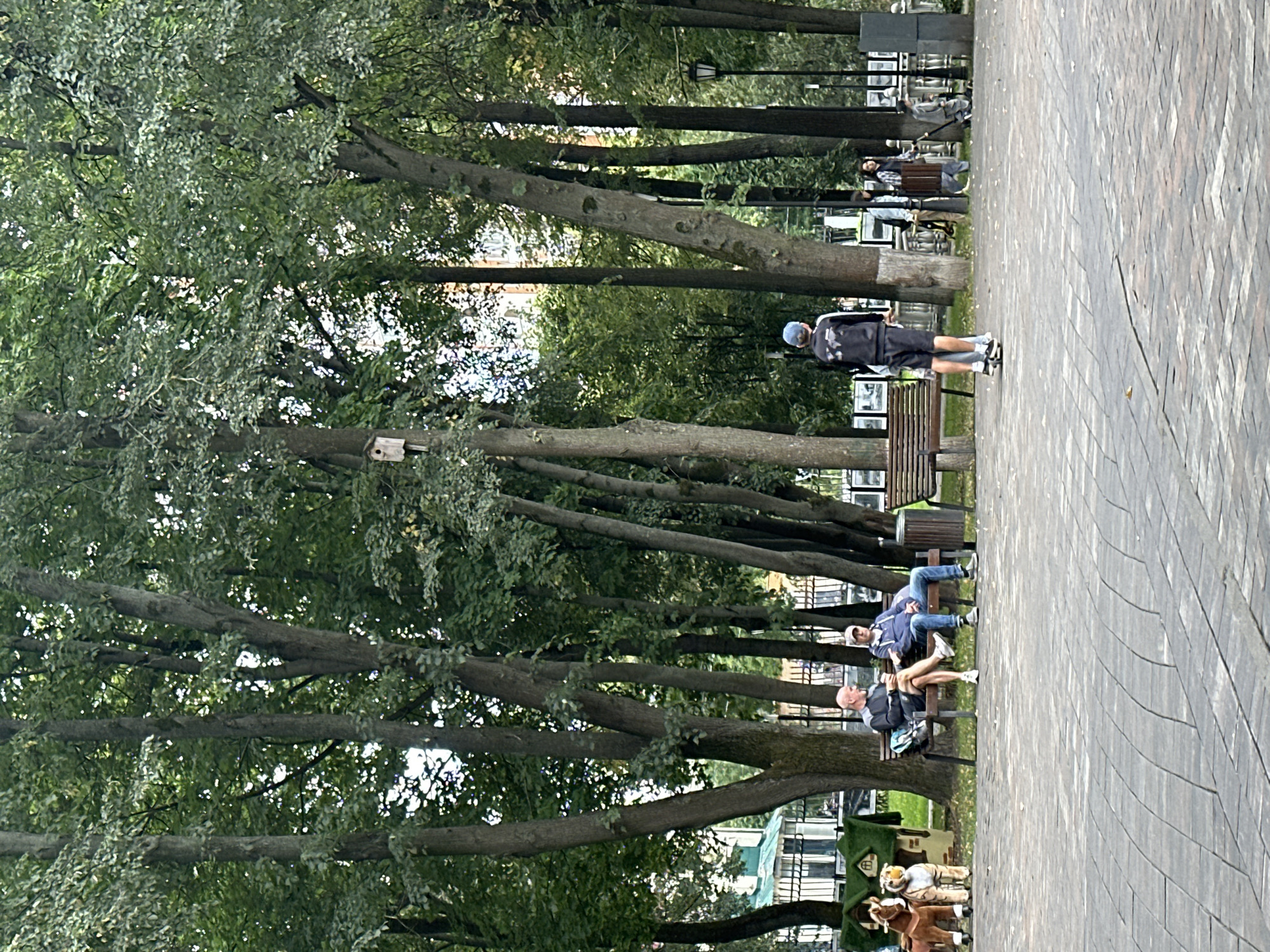 The image depicts a park scene in Podolsk, Russia, with a paved walkway in the foreground and a wooded area in the background. Three men are present in the park. Two men are seated on a bench on the left side of the image, conversing. The third man, a youth wearing a blue cap and a black jacket with white lettering, is standing on a skateboard in the center of the walkway, facing away from the camera. Behind the seated men, there are two decorative figures resembling toy animals, a horse and a tiger, positioned in front of a small, green-roofed structure. A birdhouse is visible on a tree trunk in the background. Several trees with dense foliage dominate the landscape. Other individuals and park amenities, such as benches and lampposts, are discernible further in the background.