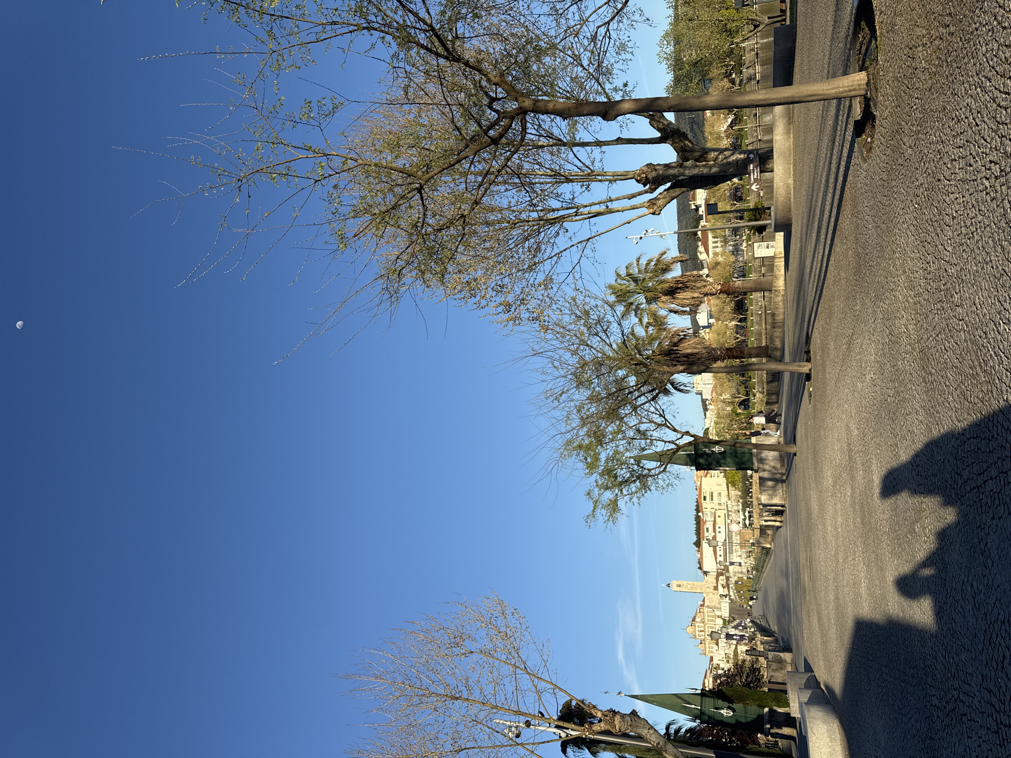 This image depicts the Ponte Velha (Old Bridge) in Mirandela, Portugal, extending towards the city center under a clear blue sky. A crescent moon is visible in the upper left quadrant of the sky.
The foreground features a cobblestone pathway, laid in a radial pattern, covering the width of the frame. Long, dark shadows of at least three individuals are cast from the left, diagonally across the pathway towards the viewer, indicating a low sun angle.
The pathway is bordered by trees on both sides. On the left, a mature deciduous tree with bare or budding branches stands prominently, alongside other trees including several palm trees with green fronds. On the right, similar trees, some with nascent green foliage, line the path. Between the trees and the pathway, a series of low, rectangular stone structures and dark green, pointed, conical decorative elements are arranged. A brown street sign on the right midground displays "Cais das Barcas" in white text with an arrow pointing right, indicating proximity to a body of water, likely the Tâmega River, which is visible further to the right, with its banks lined by trees. A street light pole is also visible on the left side of the pathway.
In the mid-distance on the bridge, several indistinct human figures are observed walking away from the viewer.
The background reveals the cityscape of Mirandela, built on a gentle incline. The skyline is dominated by a large, light-colored building, featuring a prominent, tall bell tower topped with a small dome and an external viewing platform, identified as the Church of Nossa Senhora da Encarnação (also known as São Bento). Numerous other light-colored residential and commercial buildings with visible tiled roofs are situated around it. Distant hills form the horizon beyond the city. The entire scene is illuminated by natural light, casting pronounced shadows consistent with either morning or late afternoon.