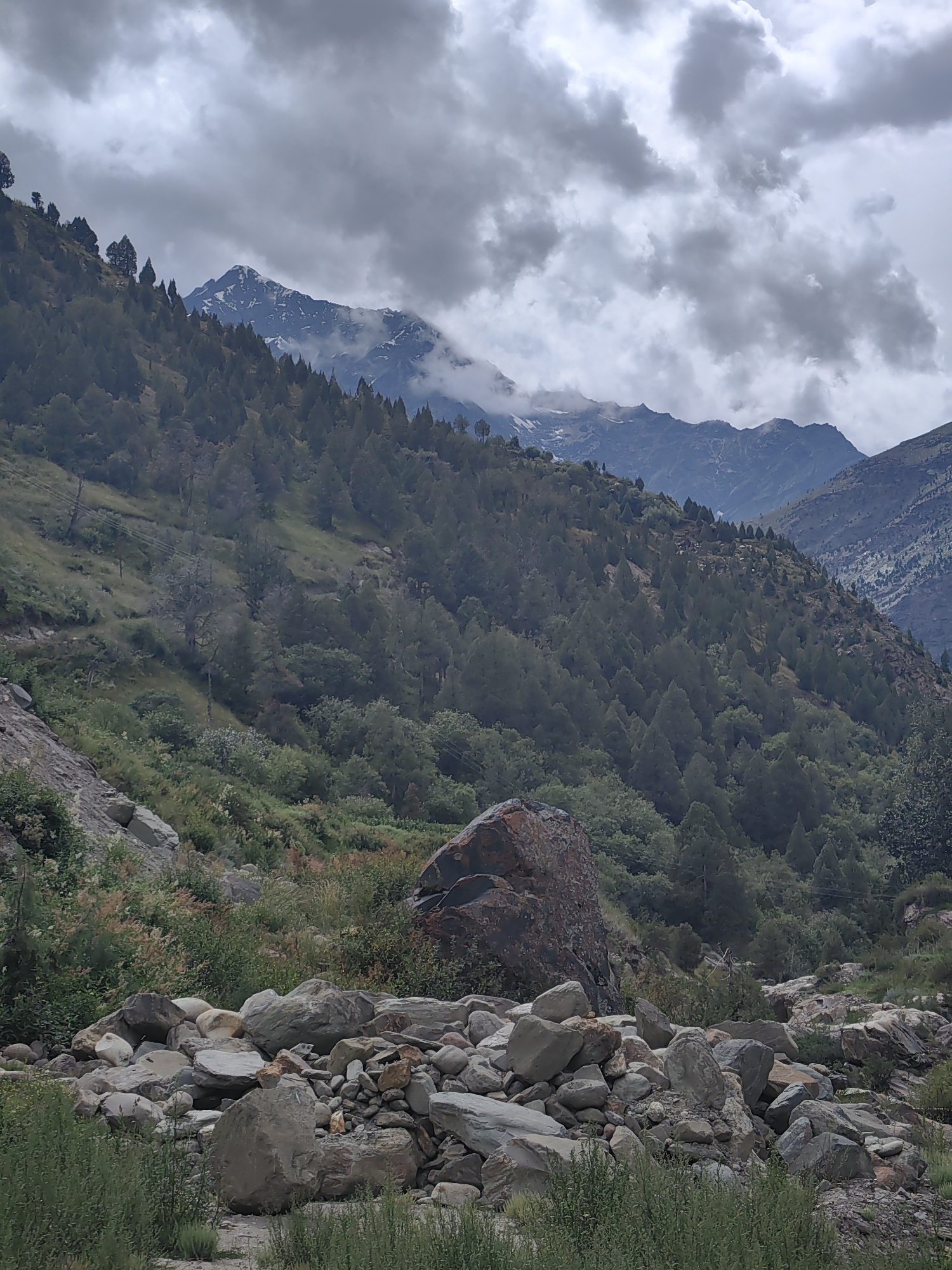 This is a vertical, eye-level, medium shot of a mountainous landscape in Keylong, India, under a cloudy sky. The scene is dominated by a steep, tree-covered mountain slope in the foreground and midground, transitioning to rugged, rocky terrain in the far distance. The mountain is densely populated with dark green conifer trees, creating a textured, almost uniform appearance. A few scattered, bare, dead trees stand out against the green on the left side of the slope.
In the foreground, a rocky, uneven ground is visible, covered with various sizes of stones and boulders. Some are smooth and rounded, while others are jagged and rough. A large, dark, irregular-shaped rock sits prominently in the mid-foreground, adding a sense of scale. Greenish-brown undergrowth and tall green grasses are scattered throughout the rocky area, with some reddish-brown foliage interspersed.
In the background, snow-capped mountain peaks are visible, peeking through gaps in the heavy, gray, and white clouds. The clouds are thick and appear to be moving, creating a dramatic and somewhat somber atmosphere. The lighting is diffused due to the overcast conditions, with no direct sunlight. The overall mood is one of natural grandeur and ruggedness, with a sense of stillness and tranquility. No people, objects, or text are visible in the image. The time of day is difficult to ascertain due to the cloud cover, but it appears to be daytime.