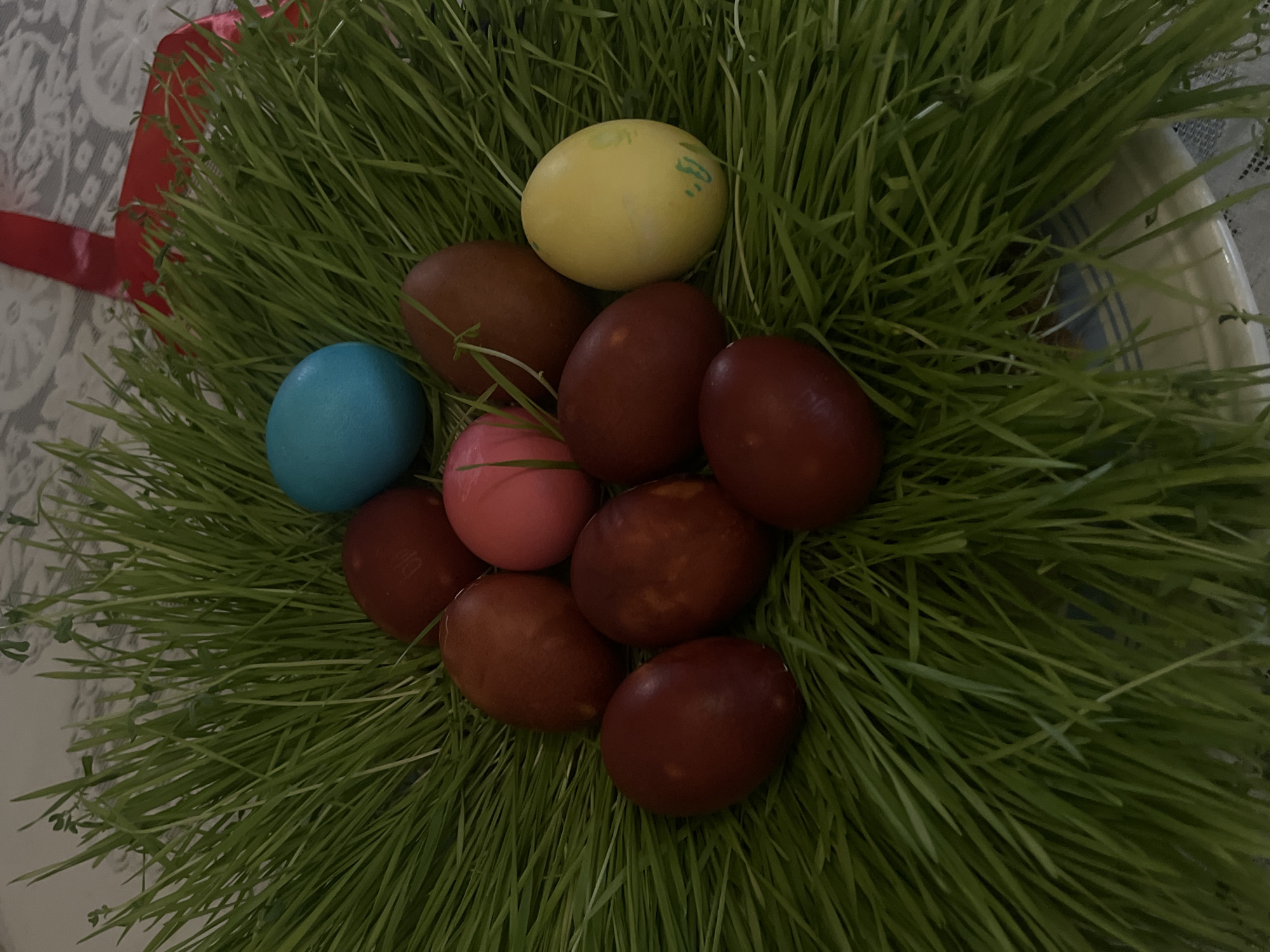 A close-up shot displays a collection of dyed Easter eggs nestled in a bed of fresh green wheatgrass. The eggs are arranged in a central cluster, showcasing a variety of colors including brown, red, yellow, blue, and pink. The wheatgrass forms a dense, vibrant green nest around the eggs. In the background, a section of a patterned tablecloth is visible, along with a glimpse of a tray with blue stripes. A red ribbon is placed on the edge of the wheatgrass bed. The location is Arinj, Armenia.