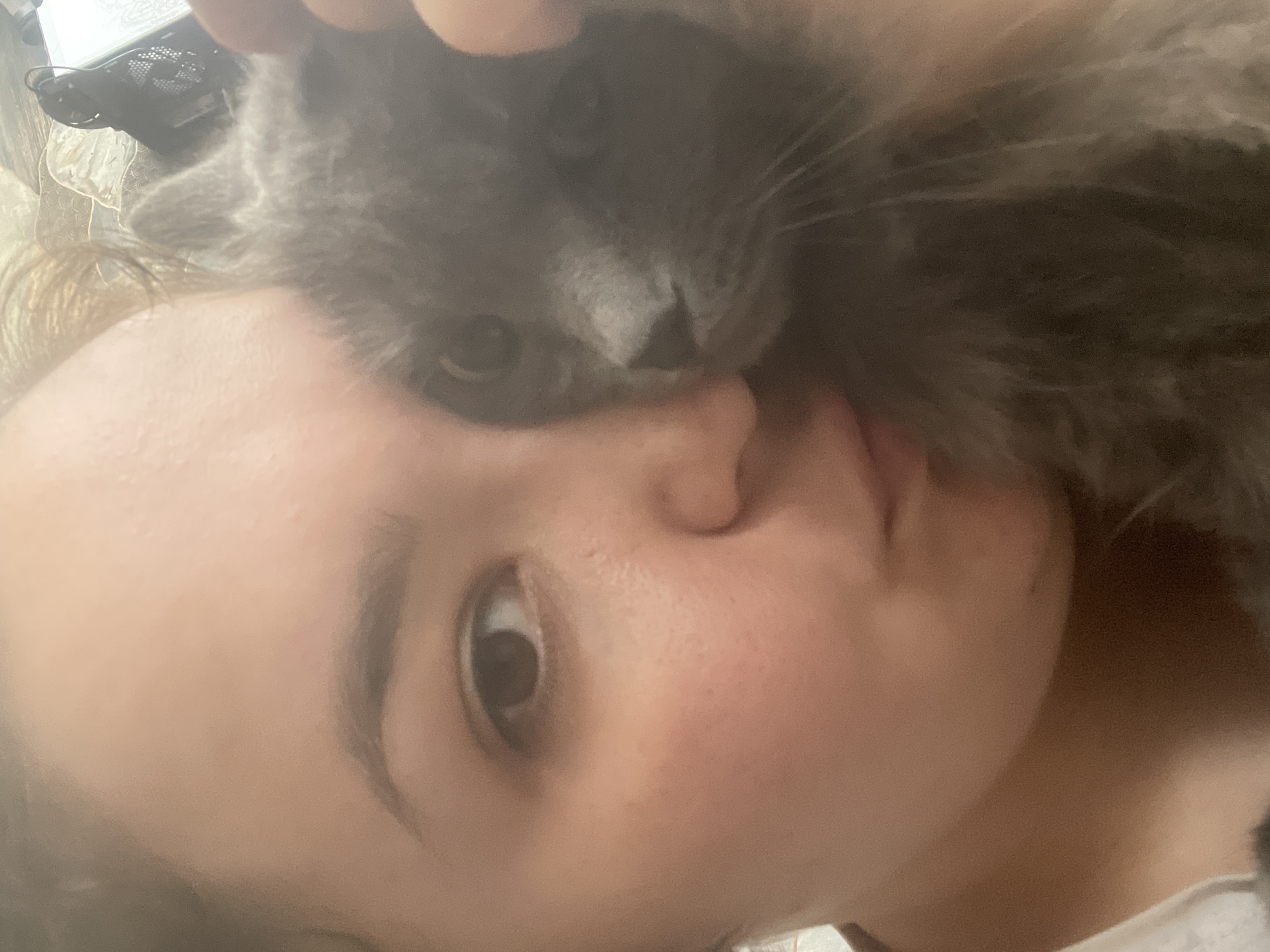 A close-up indoor photograph shows a person lying down with a gray cat nestled close to their face. The person is fair-skinned with an eye visible. The cat is gray with short fur and is positioned such that its head is near the person's nose and mouth. The background is blurry and indistinct. There is no information to connect this image to the city of Chaikovsky, Russia.