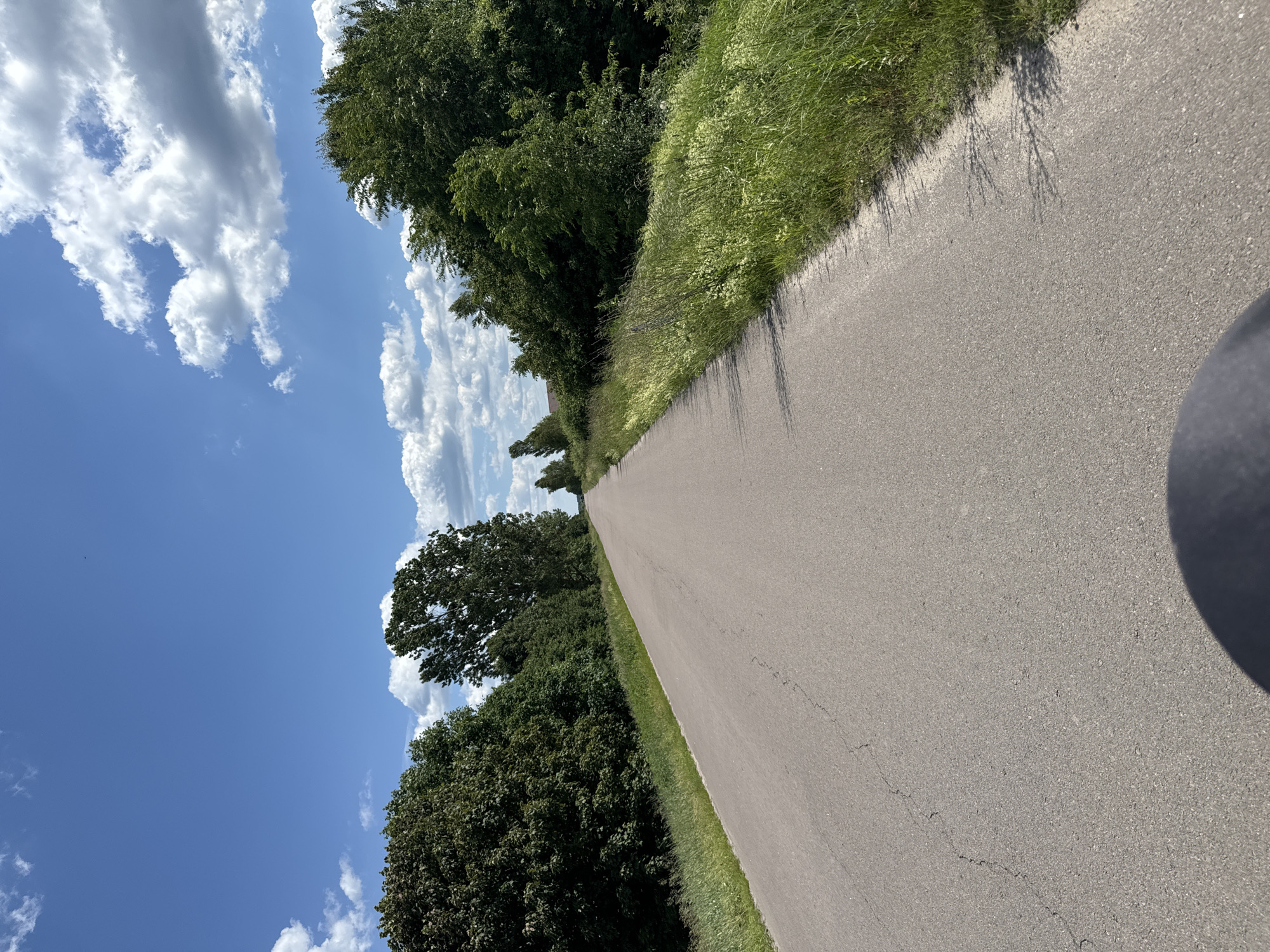 This is a vertical, low-angle, outdoor shot of a paved road stretching into the distance on a bright, sunny day. The road is bordered by lush green grass and trees on the left side of the frame, with a clear blue sky dotted with fluffy white clouds above. The trees appear to be deciduous, with dense foliage. Shadows of tree branches are cast across the asphalt, indicating the time of day is likely late morning or early afternoon, given the sun's angle. The scene evokes a sense of peacefulness and a summer day. The road appears to be in good condition with some minor cracking visible. There is a dark, curved shadow in the lower right corner of the image, possibly from a person or object holding the camera. No text is visible in the image. The context provided indicates the location is Dovhe, Ukraine.