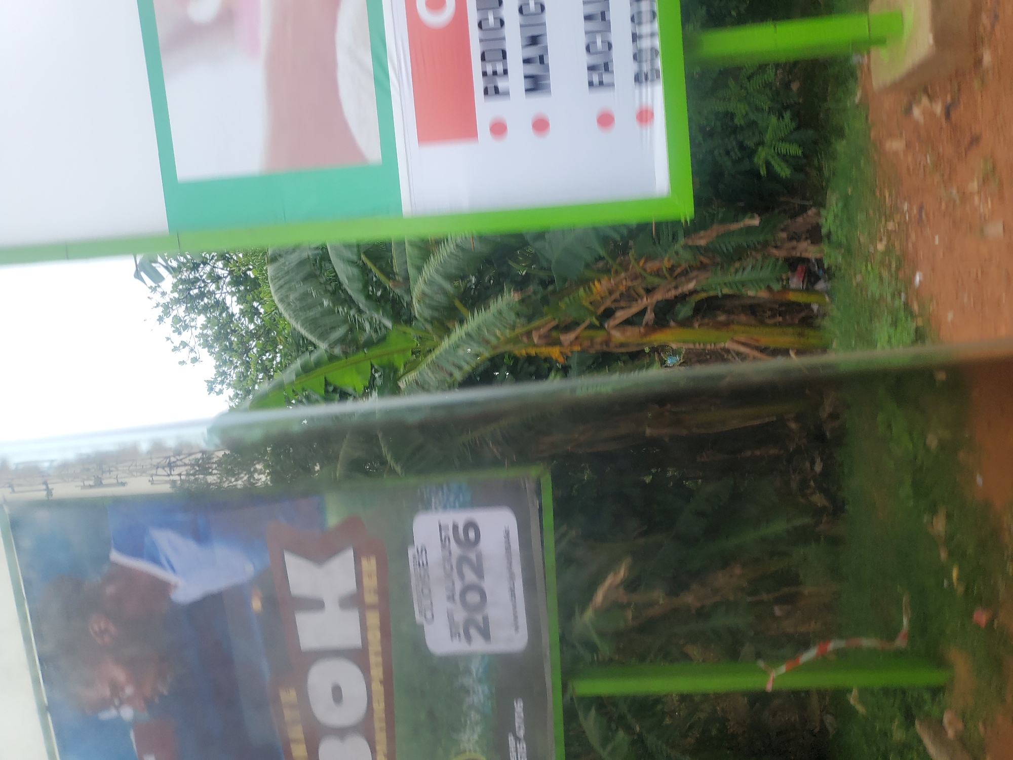 The image captures an outdoor scene featuring two advertising billboards set amidst lush green foliage and reddish-brown soil, likely in a tropical or subtropical region such as Television, Nigeria. The lighting suggests it is daytime.
The upper billboard, framed in bright green, advertises beauty services. Partially visible text, presented with red bullet points, includes "PEDICU" (likely Pedicure), "MANIC" (Manicure), "FACIAL," and "BOTTO" (possibly Botox or a similar treatment).
The lower billboard, also with a green frame, displays an image of a person, possibly a child or young adult, appearing to interact with a book. Visible text on this billboard includes "BOK" (part of a word, possibly "BOOK") and "FREE." A notable detail on this billboard is the phrase "CLOSES 31 AUGUST 2026," indicating a deadline for an associated campaign or event.
The background is dominated by dense green vegetation, with large-leaved plants resembling banana trees visible, and patches of dirt. No people are actively present in the immediate scene, and no specific events are unfolding beyond the static display of the advertisements.