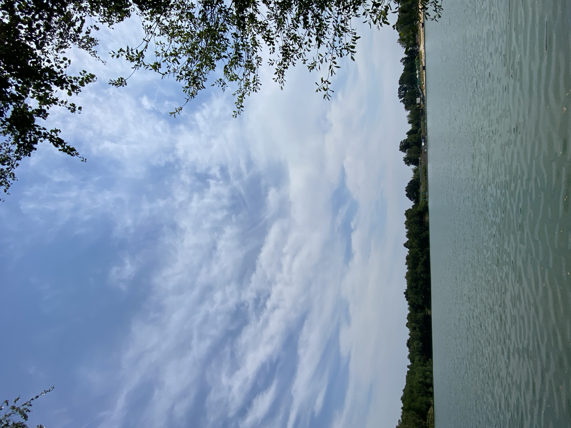 The image depicts a calm lake with a tree-lined shore under a partly cloudy sky. The water has a greenish hue and exhibits small ripples. In the background, a dense forest stretches across the horizon, with some scattered buildings and a beach area visible on the right side. Lush green foliage from a tree branch hangs into the frame from the top right corner. The sky is a light blue with wispy white clouds. The scene is a natural landscape with some man-made structures in the distance. This scene is of the Quarry Lake in Kaniów, Poland.