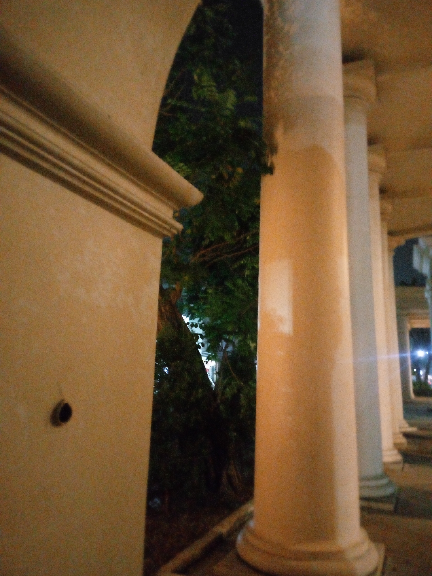 The image captures a dimly lit outdoor scene featuring architectural elements of a building and surrounding foliage. In the foreground, a textured, pale yellow wall with a decorative molding runs along the left side of the frame, punctuated by a dark circular opening. To the right, a series of thick, pale columns extend into the background, creating a sense of depth. Between the wall and the columns, dense green foliage of trees is visible, suggesting a natural element within an urban or semi-urban environment. The lighting suggests it is nighttime or a very dark, overcast day. The image does not provide any specific indicators that would place the scene in Bitung Jaya, Indonesia.
