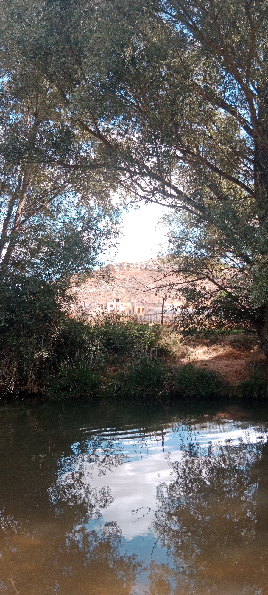 This image depicts a serene natural scene, likely located near the town of Milagros, Spain. The foreground is dominated by a body of dark water, reflecting the sky and the surrounding foliage. The reflection shows patches of blue sky and the silhouetted branches of trees. The midground features a lush bank of green vegetation, including tall grasses and some flowering plants with purple tops. Behind the vegetation, there is a dry, dusty hillside with scattered buildings, appearing to be houses or small structures. These buildings are a muted orange and white, and their architecture suggests a rural or semi-urban Spanish setting. The background is a hazy, sunlit hillside under a bright blue sky. Framing the scene from the top are the dense branches and leaves of large trees, creating a natural archway. The lighting suggests it is daytime, with the sun casting a warm glow on the hillside. No people are visible in the image, and there are no obvious actions or interactions taking place. The environment is tranquil and appears to be a natural landscape adjacent to a settlement.