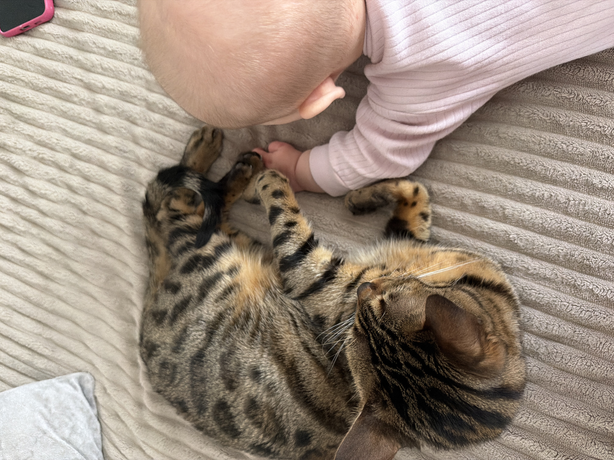 A baby lies on a beige textured blanket, their head close to a Bengal cat. The baby wears a light pink long-sleeved shirt. The cat is curled up, its striped fur pattern prominent, and its head facing away from the baby. A pink phone case is visible in the upper left corner of the frame. A small white pillow is in the lower left corner. The location is implied to be Noviy, Russia, although there is no visual evidence to confirm this.