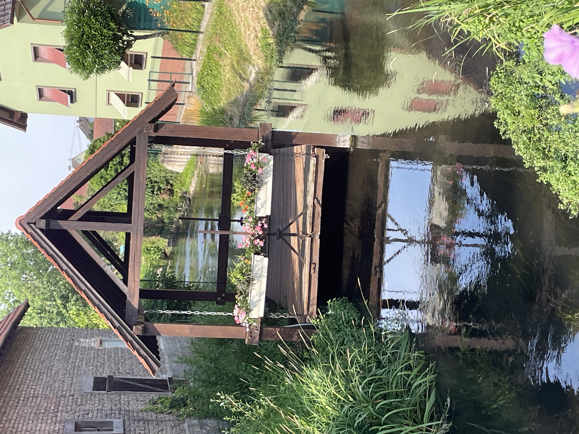 The image depicts a waterside scene in Gerstheim, France, likely in the summer. The perspective is from ground level, looking upwards and slightly towards the right, with the overall image rotated 90 degrees counterclockwise.
The central subject is a wooden structure with a gabled roof, resembling a small boathouse or a part of a water mill. It has an open front, revealing a wooden gate or sluice mechanism that allows water to pass through. Hanging from the structure are chains, and a planter box filled with pink and orange flowers is attached to the railing.
The structure is situated over a body of water, which reflects the surrounding environment, including buildings and vegetation. The water appears calm but with ripples distorting the reflections. Lush green grass and reeds grow along the banks of the water, some of which are in the foreground.
In the background, to the left, is a light green building with red shutters on its windows. Further in the background, more buildings and trees are visible, suggesting a village or town setting. The sky is bright, indicating daytime, and the lighting suggests it could be late afternoon or early morning with the sun casting distinct shadows.
The overall atmosphere is tranquil and picturesque, showcasing a blend of man-made structures and natural elements. There is no visible text in the image.