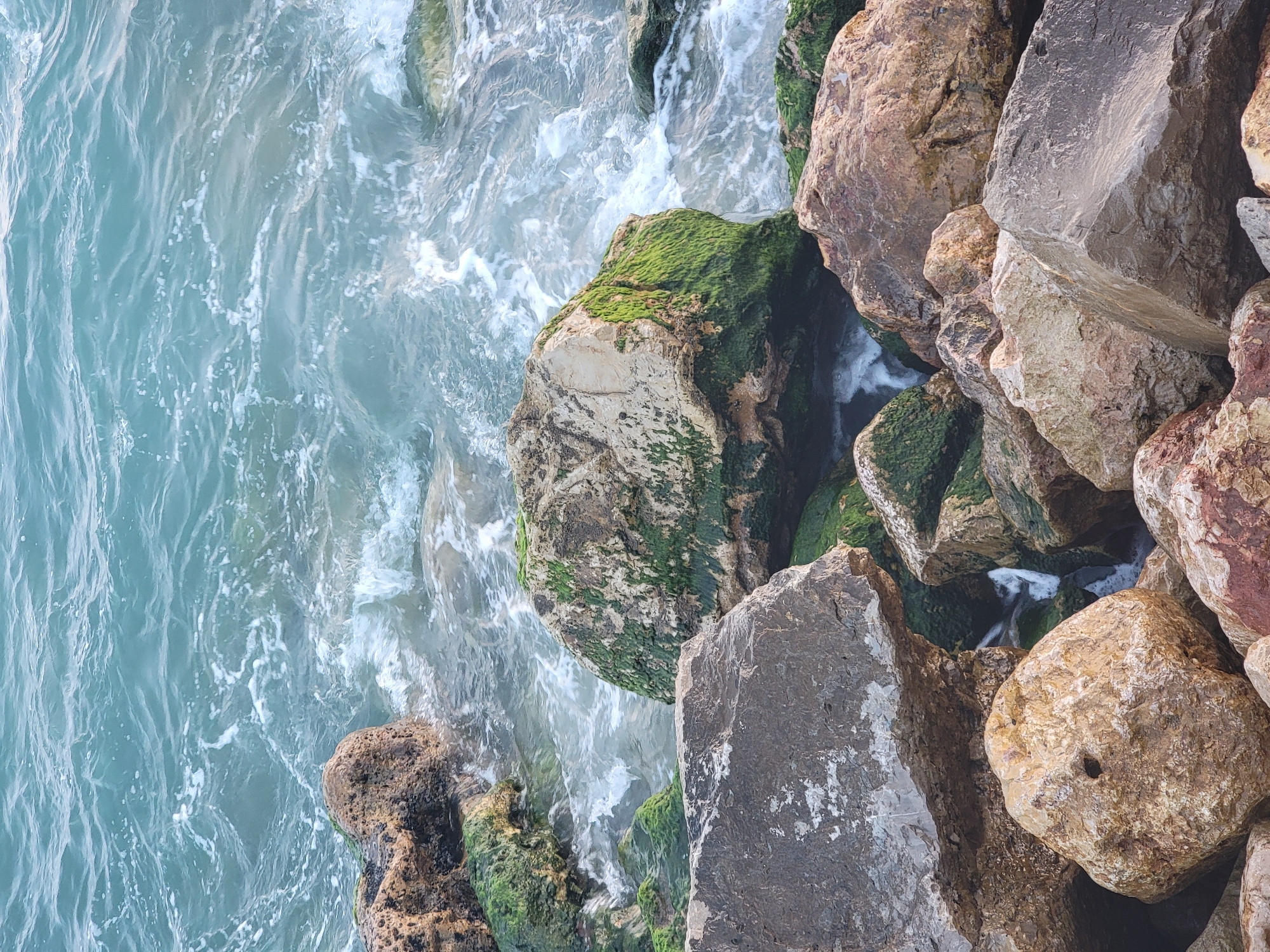 The image shows a close-up view of the rocky shoreline in Quarteira, Portugal. The foreground is dominated by a collection of large, weathered rocks, some of which are covered in green algae. In the background, the turquoise waters of the Atlantic Ocean crash against the rocks, creating white foam and ripples. The sunlight illuminates the scene, highlighting the textures and colors of the natural elements. There are no people or man-made structures visible in the image, emphasizing the rugged and untamed beauty of the coastal landscape.