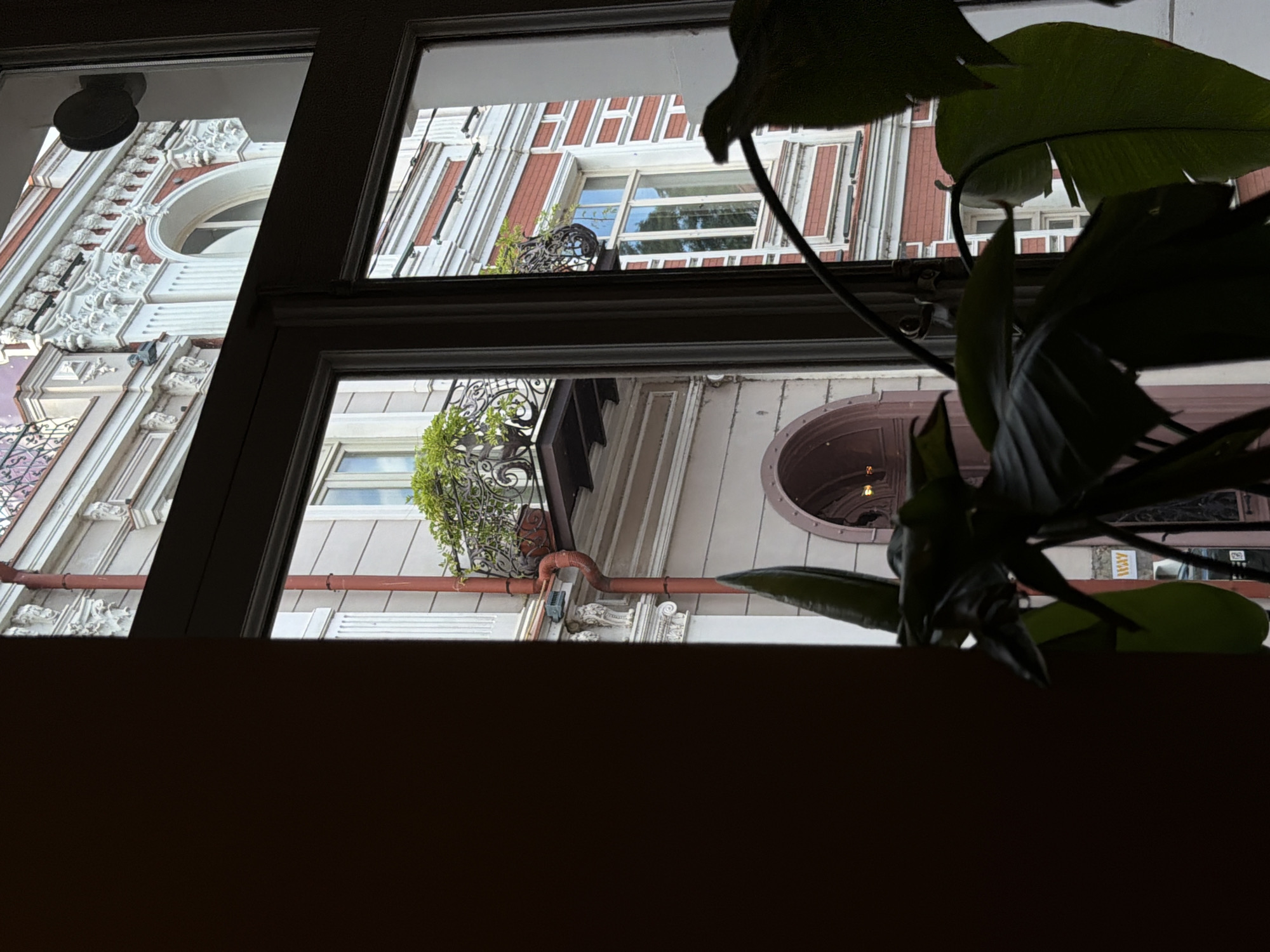 A close-up, eye-level shot captures a view through a window, looking outwards at a building in Tbilisi, Georgia. The foreground is dominated by the dark silhouette of a large plant with broad, green leaves, partially obscuring the view. The plant appears to be indoors, positioned near the window.
Through the window, the exterior of an ornate, older building is visible. The building features red brickwork with white decorative trim, columns, and arched windows. A balcony with intricate metalwork and planters containing greenery extends from the building. A red downspout is visible on the side of the building. The architectural style suggests a historical district in Tbilisi. The lighting indicates it is daytime, but the sky is overcast or the lighting is diffused.
