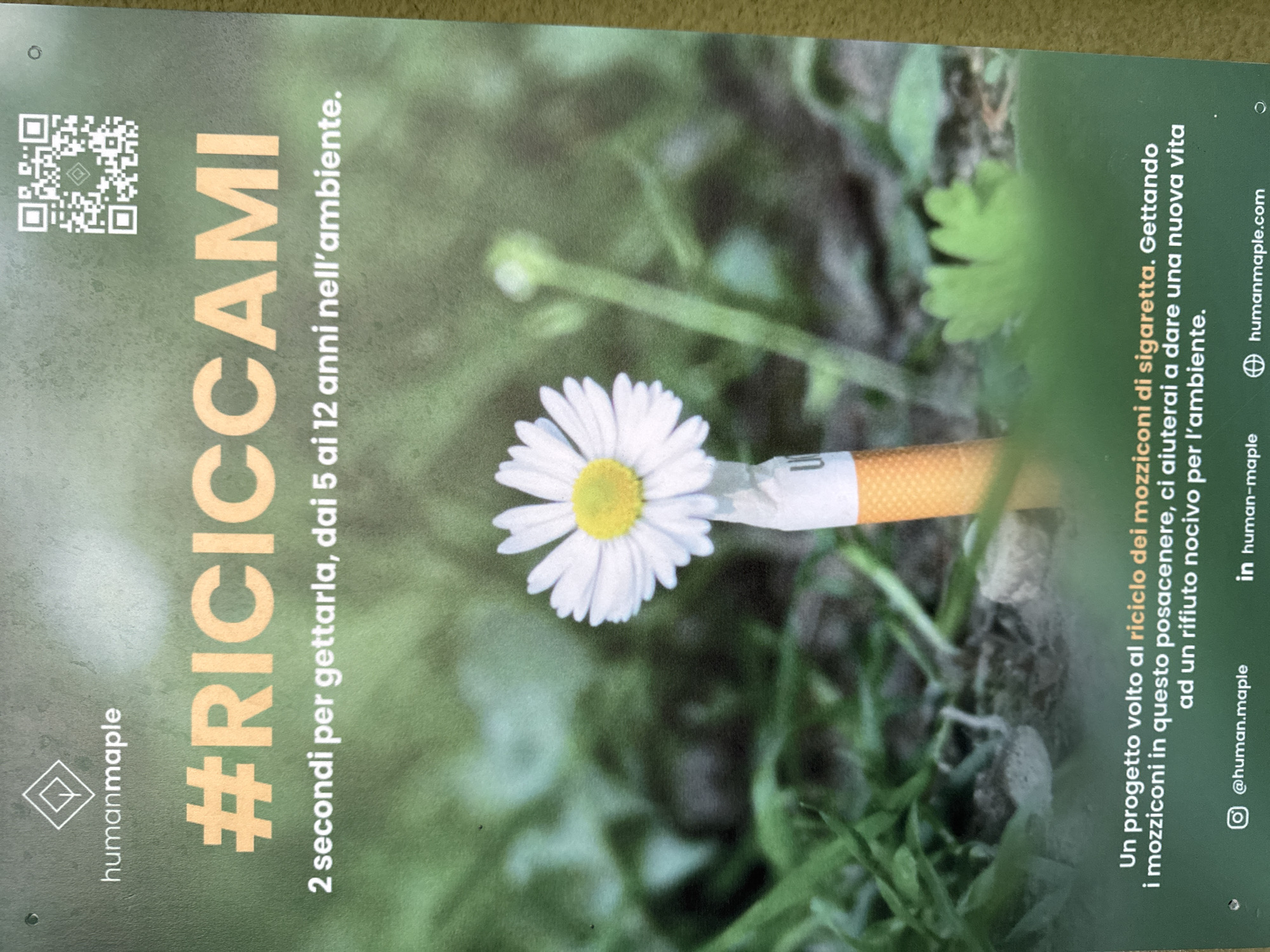 The image is a poster with a green background and a close-up of a cigarette butt with a daisy flower emerging from its tip. The cigarette butt is orange and white, and the daisy is white with a yellow center. The poster has text in Italian. At the top left, there is a logo with the text "humanmaple". Below the logo, it says "#RICICCAMI" in large orange letters, followed by "2 secondi per gettarla, dai 5 ai 12 anni nell'ambiente." In the bottom section of the poster, there is text that reads "Un progetto volto al riciclo dei mozziconi di sigaretta. Gettando i mozziconi in questo posacenere, ci aiuterai a dare una nuova vita ad un rifiuto nocivo per l'ambiente." Below this, social media handles and a website are listed: "@human.maple", "in human-maple", and "humanmaple.com". There is also a QR code in the top right corner. The setting appears to be outdoors, with grass and blurred green foliage in the background. The poster is promoting an anti-littering campaign about cigarette butts. There are no people or actions depicted in the image, only static elements of the poster. The location of Mejaniga, Italy is not explicitly mentioned or visually indicated in the image.