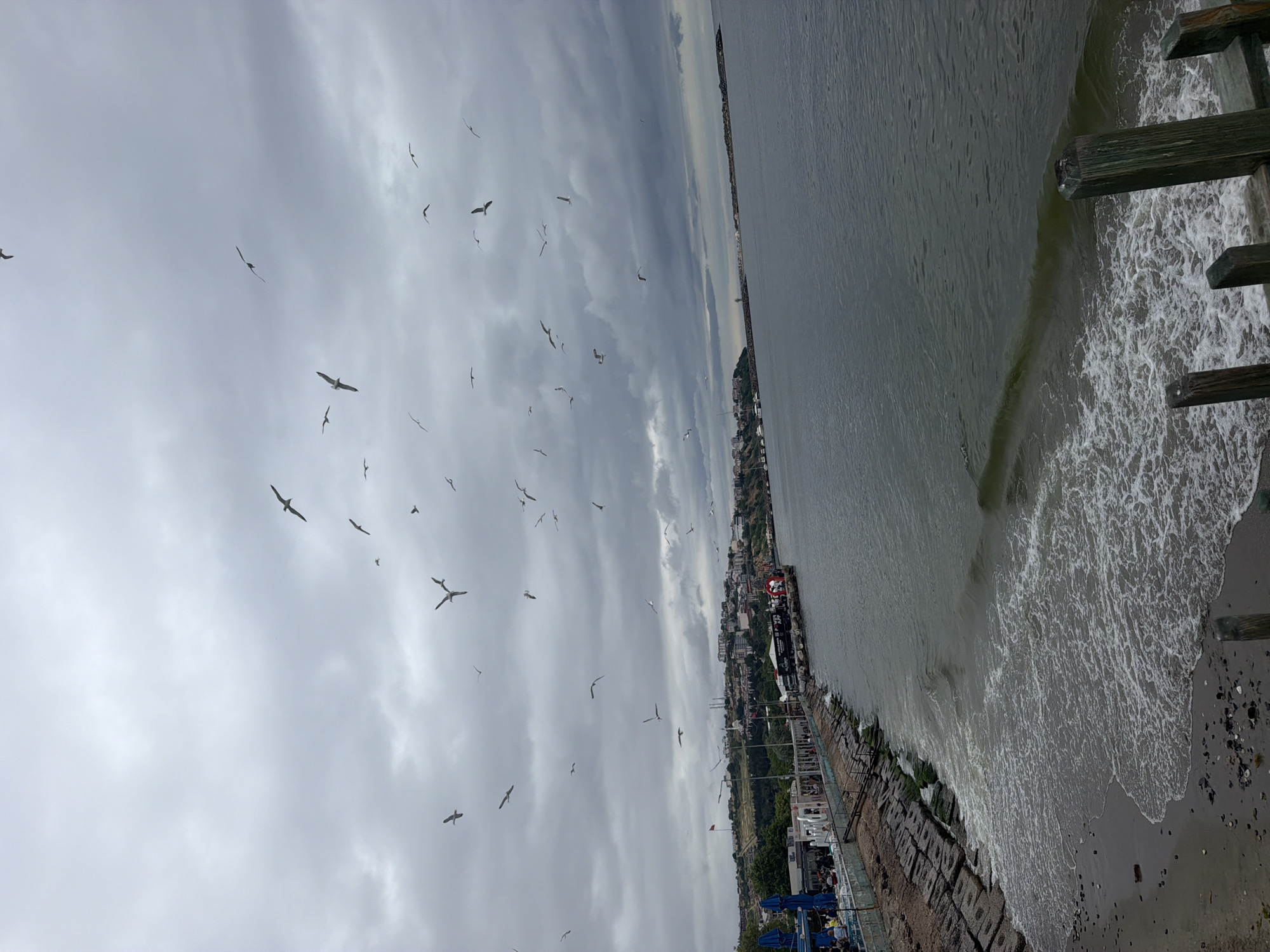 A wide shot captures a cloudy sky over a body of water. Numerous seagulls are in flight against the overcast sky, scattered across the frame. In the mid-ground, a coastal town with buildings and structures is visible along the shoreline. A pier or breakwater extends into the water on the right side of the image. The foreground shows a rocky shoreline with gentle waves lapping onto a sandy beach. Wooden posts are present in the lower right corner of the frame. The scene depicts a coastal environment on a cloudy day, likely in the city of Tekirdağ, Turkey, given the common visual association of such landscapes with the region.
