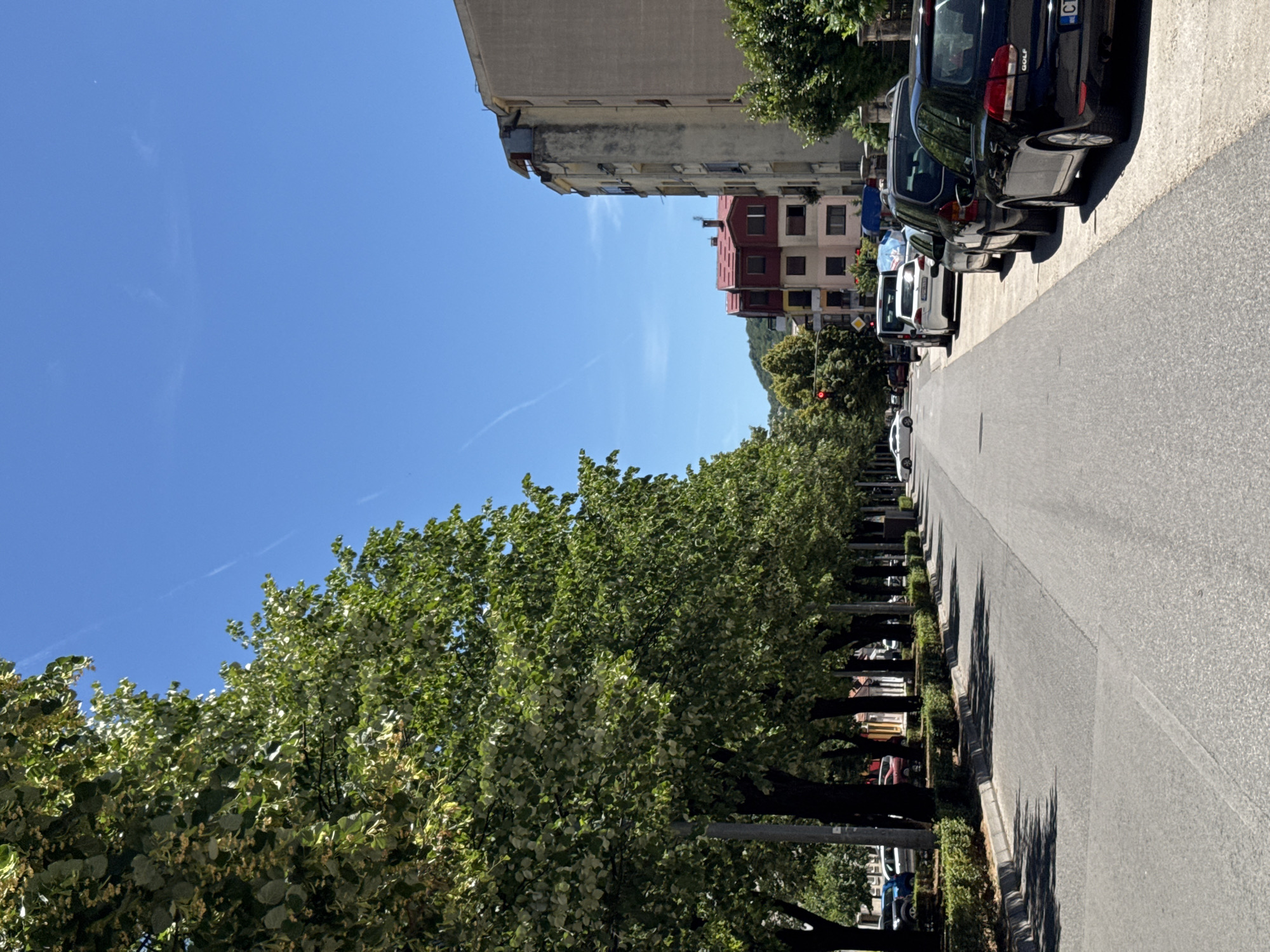 The image depicts a street scene in Cetinje, Montenegro, on a clear, sunny day. A tree-lined road stretches into the distance, with parked cars lining the right side. Buildings are visible on the right, featuring apartment blocks and what appears to be a building with a red roof. The trees on the left create a canopy of green leaves, casting shadows on the pavement. The road itself is asphalt, with a white lane marking visible. Several vehicles, including a black Volkswagen Golf, are parked along the curb. The sky is a bright blue with faint contrails from an aircraft.