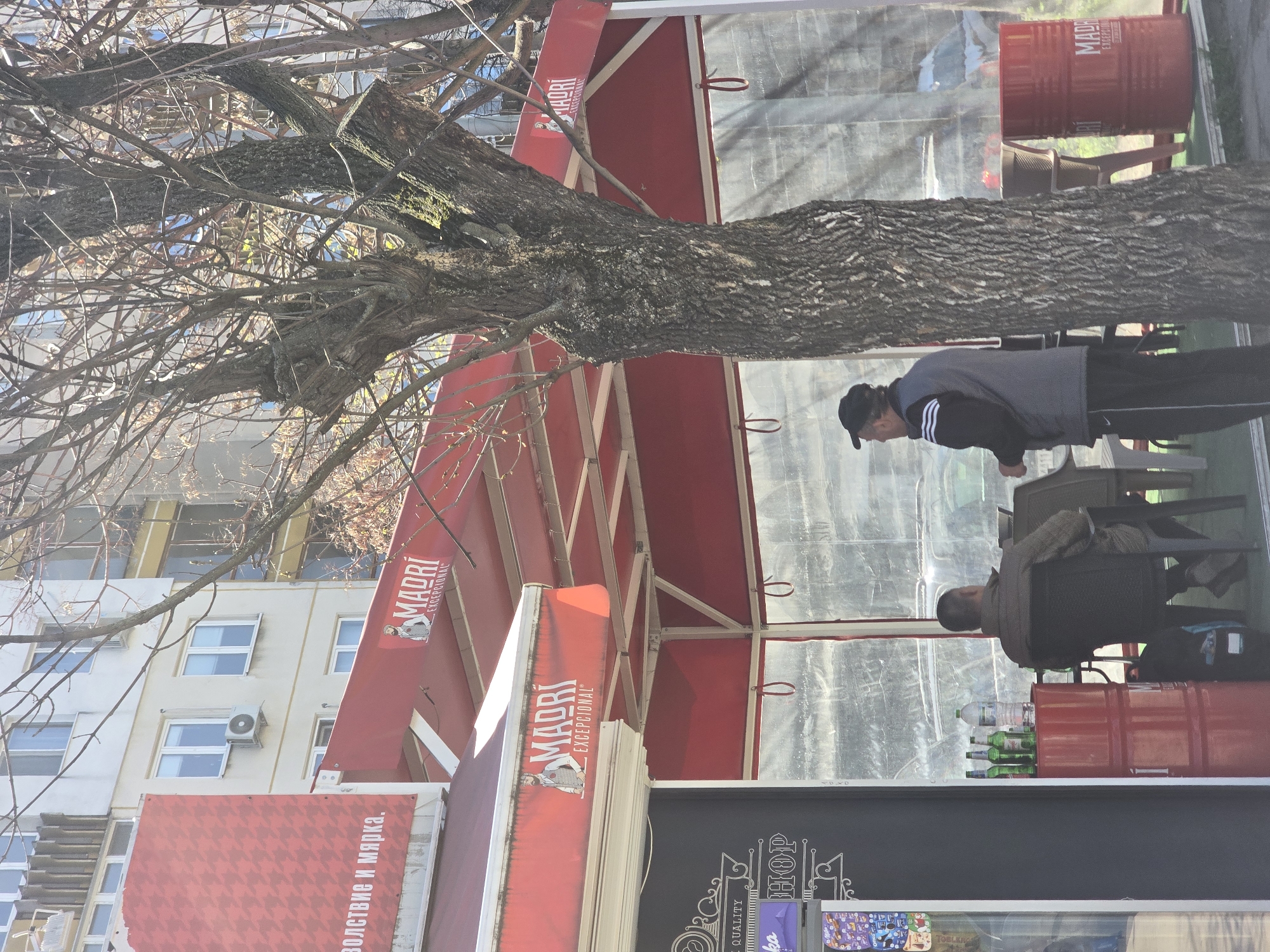 The image shows an outdoor café in Plovdiv, Bulgaria. A tree with bare branches extends over the café. The café has a red awning with the name "MADRÍ EXCEPCIONAL" on it. Under the awning, two men are sitting at a table. One man is wearing a black cap and a grey jacket. The other man is wearing a brown jacket. There are red barrels with the "MADRÍ EXCEPCIONAL" logo on them, used as tables. The café is located near a building with multiple windows and an air conditioning unit. A sign with Cyrillic text is visible near the storefront.