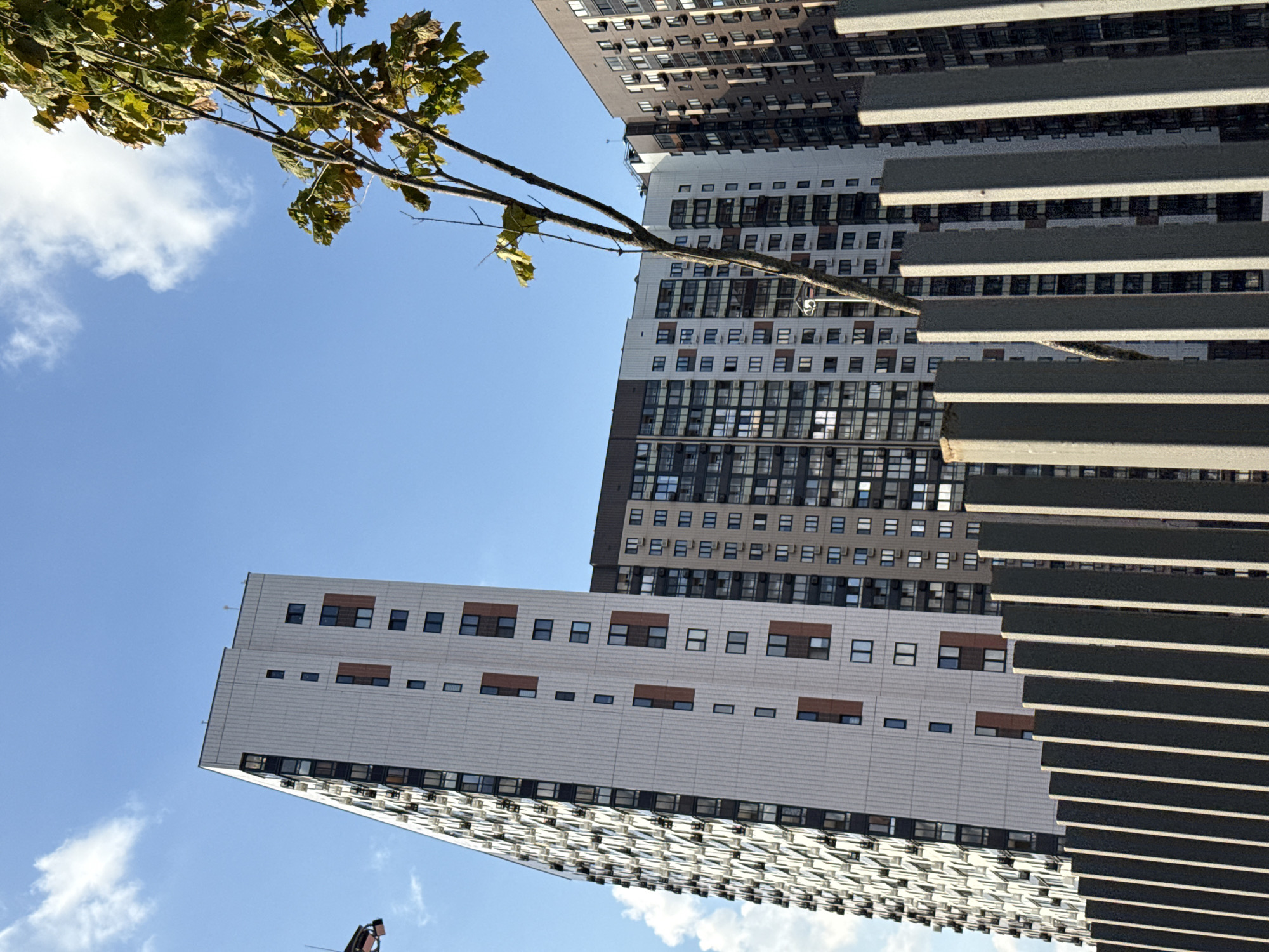 The image captures a daytime view of high-rise residential buildings against a clear blue sky with scattered white clouds. In the foreground, a metal fence with vertical slats runs across the frame. Behind the fence, two adjacent apartment buildings dominate the scene. The building on the left is a tall, multi-story structure with a predominantly white facade punctuated by numerous windows and vertical brown rectangular accents. The building to its right is also a high-rise, appearing slightly darker with a facade featuring a pattern of windows and brown or dark gray panels. A thin tree with green and brown leaves extends into the frame from the upper right corner, its branches reaching towards the sky and obscuring parts of the buildings. The scene is consistent with an urban environment in Tomilino, Russia, specifically depicting the modern residential architecture often found in such areas.