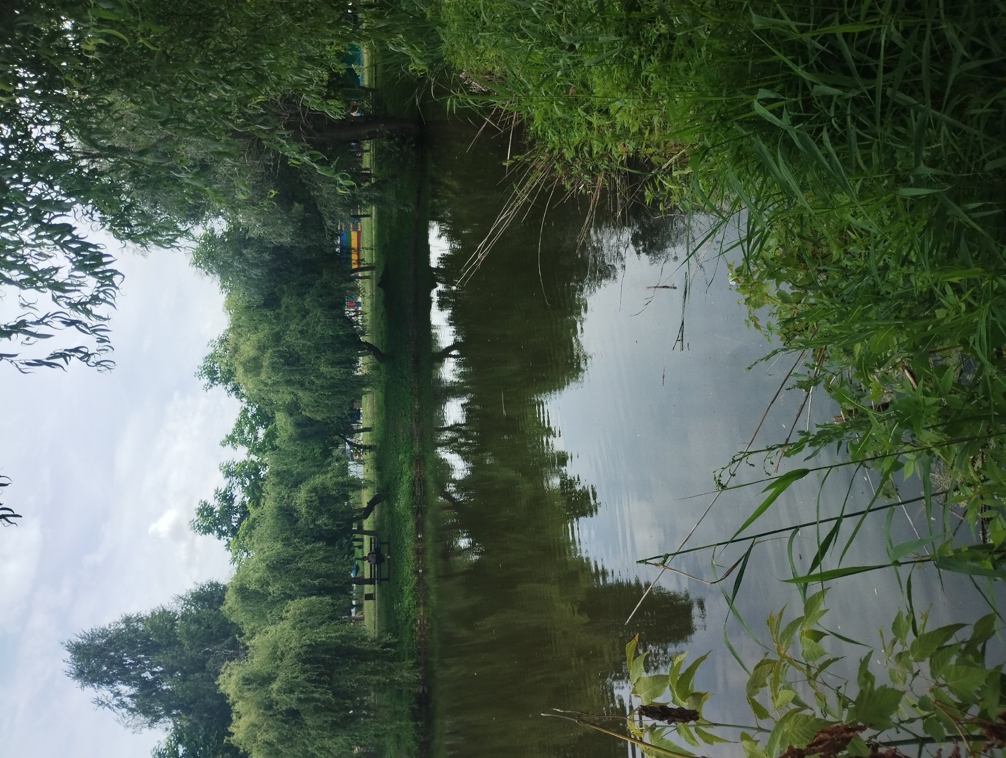 The image depicts a body of water, likely a pond or lake, with lush green vegetation lining its banks. In the background, a line of trees, including weeping willows, forms a dense canopy. Beyond the trees, there are indications of human activity, such as benches, and what appears to be a colorful structure, possibly a playground or a pavilion. The water reflects the sky and the surrounding foliage, creating a serene and natural scene. The location is identified as the city of Sumy, Ukraine, suggesting it is a public park or recreational area. The overall atmosphere is peaceful and suggests a warm, possibly overcast day.