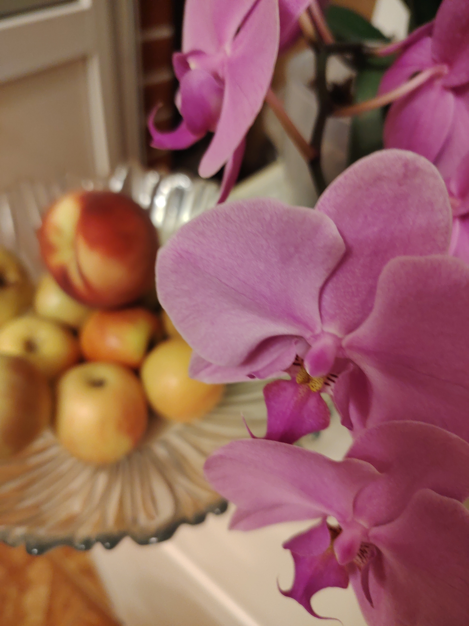 The image depicts a close-up view of pink orchids and a bowl of fruit. The orchids, with their delicate petals and intricate centers, are the primary focus, filling a significant portion of the frame. To the left, a glass bowl contains several fruits, including a red-blushed peach and other smaller, lighter-colored fruits that appear to be apples or nectarines. The background is softly blurred, suggesting an indoor setting. The overall impression is one of a still life arrangement, showcasing natural beauty. The location in the city of Konakovo, Russia, is not visually discernible from the image itself.