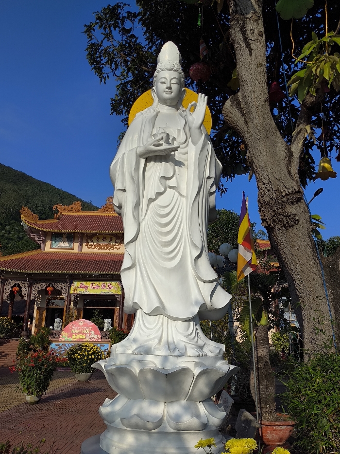 The image presents a prominent white statue of Guanyin (Quan Am) positioned within a Buddhist temple complex in Thành phố Tuy Hòa, Vietnam. The statue, appearing to be crafted from white stone or concrete, stands upright on a multi-tiered lotus pedestal. It depicts a serene female figure with elaborate headwear, flowing robes, and a circular yellow halo behind its head. The figure's right hand is raised with the thumb and forefinger forming a circle (a mudra), while the left hand gently holds a small, rounded object.
In the background, a traditional Vietnamese Buddhist temple building features multiple tiered red-tiled roofs with golden ornamentation along the eaves and ridges. Its light-colored walls are adorned with banners, one prominently displaying "MỪNG XUÂN QUÝ MÃO" and "HAPPY NEW YEAR 2023," indicating a Lunar New Year celebration. Red lanterns hang from the temple's eaves. Behind the temple, green, tree-covered mountains rise under a clear blue sky.
To the right of the statue, a large tree with rough, grey bark features prominently, its branches extending into the upper right frame. Various decorative items, including green and red shapes, hang from its branches. A multi-colored Buddhist flag is visible on a flagpole behind this tree. The ground leading to the temple is paved with reddish-brown bricks or tiles, bordered by an assortment of potted plants, including vibrant yellow chrysanthemums and red flowering plants. No individuals are present in the depicted scene. The lighting suggests bright natural daylight.