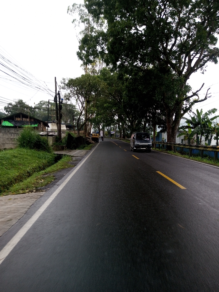 A wet asphalt road extends from the foreground into the distance under an overcast sky, with a solid white line bordering the left edge and broken yellow lines marking the center. On the left side of the road, a grassy embankment with a concrete drainage ditch leads to a concrete wall. Behind this wall, a building with a dark roof partially covered by a green tarp is visible. A utility pole with multiple overhead wires stands near the wall, with one individual positioned on the pole, appearing to perform maintenance. Further along the road, a dark-colored van travels away from the viewer in the right lane, followed by a smaller, distant vehicle. The right side of the road is lined with large, mature trees forming a dense green canopy, with a blue and yellow guardrail visible beneath them. Beyond the trees, additional vegetation, including banana plants, is present. This scene is located in the city of YonPhoogla, Bhutan.