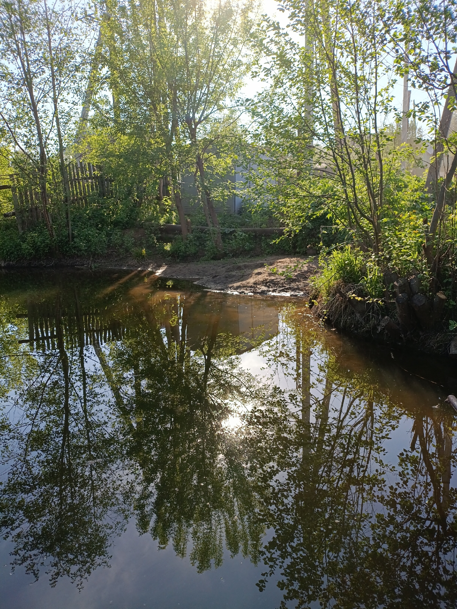 The image depicts a body of water, possibly a pond or a slow-moving river, with trees and vegetation surrounding it. The trees are reflected in the water, creating a mirrored effect. A wooden fence is visible along the shoreline. The water appears murky or brown. The sun is shining through the trees, creating highlights and shadows. The location is likely in or near the city of Chaikovsky, Russia, based on the user's prompt. No people are visible in the image.
