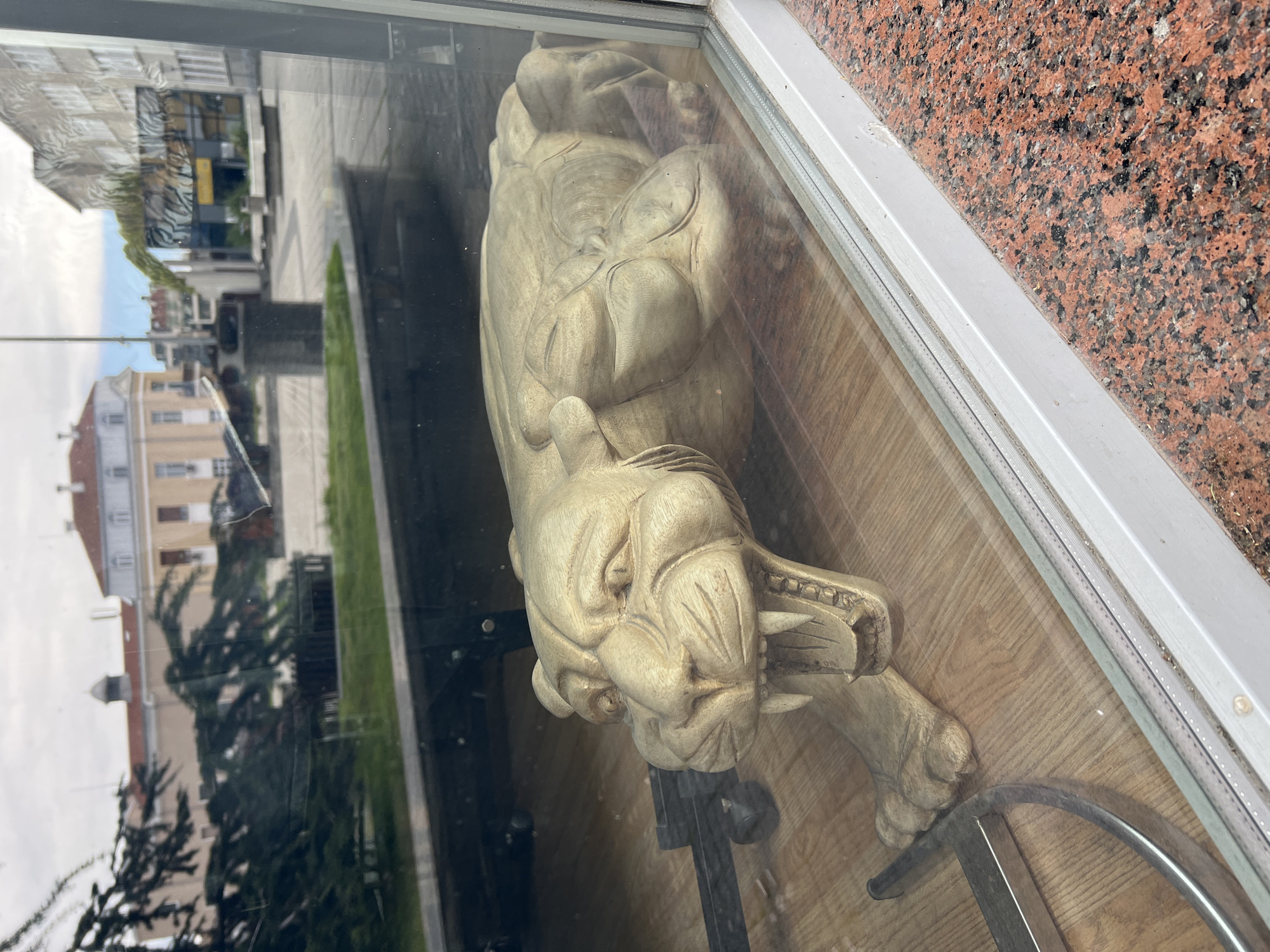 The image depicts a wooden sculpture of a lion or similar feline predator, lying prone with its mouth open in a snarl. The sculpture is displayed behind a glass window, with reflections of the outside environment visible on the glass. The reflection shows buildings, trees, and possibly a street scene, suggesting an urban setting. The statue is on a wooden surface. A metal stool is near the sculpture. The outside of the window is edged with reddish-brown stone with black speckles, and the frame is white. The city is Burgas, Bulgaria.