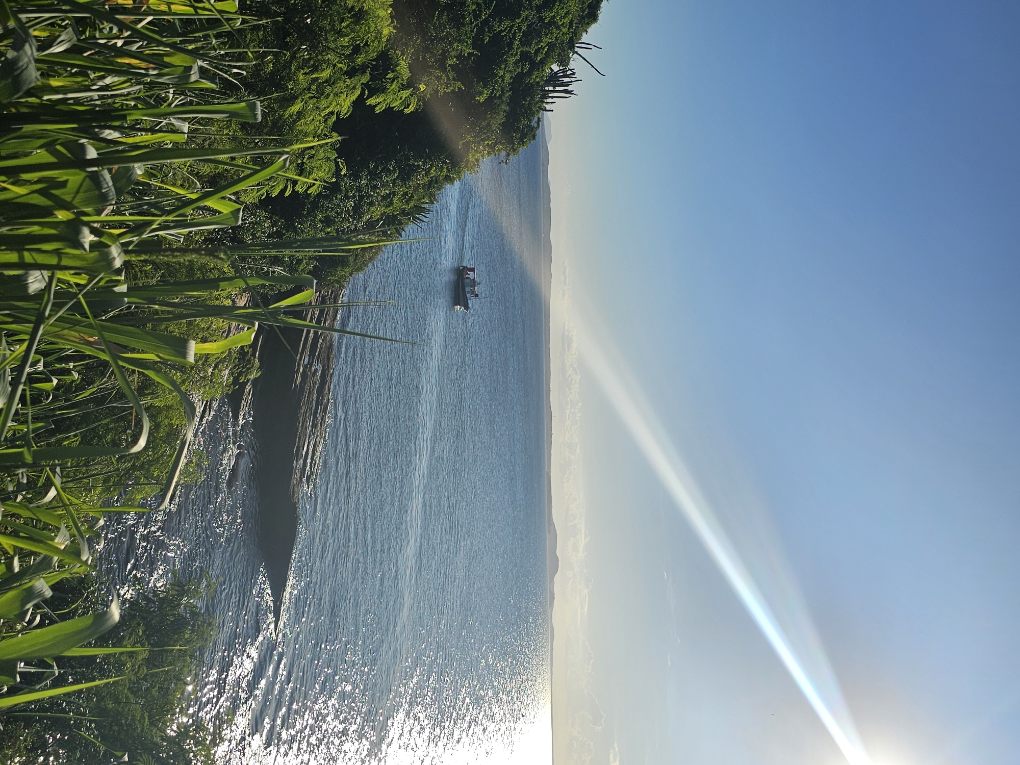 A vertical outdoor shot captures a serene coastal scene in Armação Dos Búzios, Brazil. Lush green vegetation lines the left edge of the frame, partially obscuring a rugged cliff face that descends toward the ocean. The calm, shimmering water reflects sunlight, creating a dazzling effect. A small boat sits relatively centered in the water. On the right side of the frame, a clear blue sky meets the horizon, with a bright sun shining from below, casting a lens flare upwards.