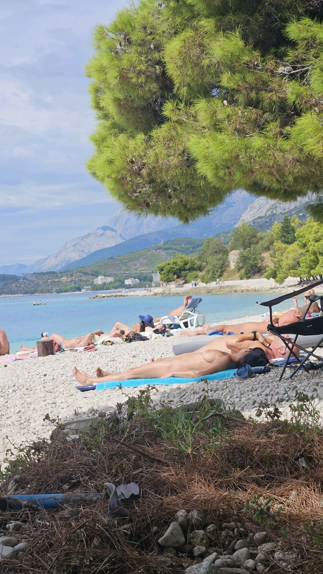 The image shows a pebble beach in Općina Podgora, Croatia, with several people sunbathing. The sea is calm and blue, and mountains are visible in the background. A large pine tree with green needles overhangs the beach, casting a shadow on some of the sunbathers. The sunbathers are lying on towels and beach chairs, and some are nude. The overall atmosphere is relaxed and peaceful.