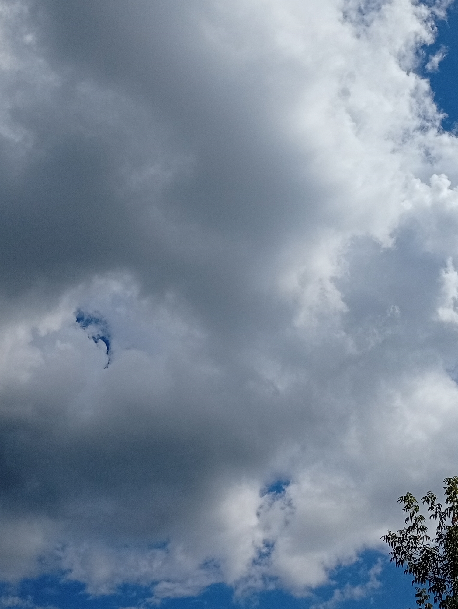The image is a close-up, low-angle shot of the sky, featuring predominantly gray clouds with patches of bright blue sky peeking through. In the center of the frame, there is a distinct gap in the clouds revealing a darker blue sky, creating a somewhat abstract shape. The lighting suggests it is daytime, likely overcast with moments of sunshine. To the lower right, the dark green foliage of a tree is visible, its branches and leaves reaching into the frame. The overall impression is of a dynamic sky with varied cloud formations and a hint of natural elements at the edge of the scene. There are no people, actions, or interactions depicted in this image. The location is identified as Pavlovsky Posad, Russia.
