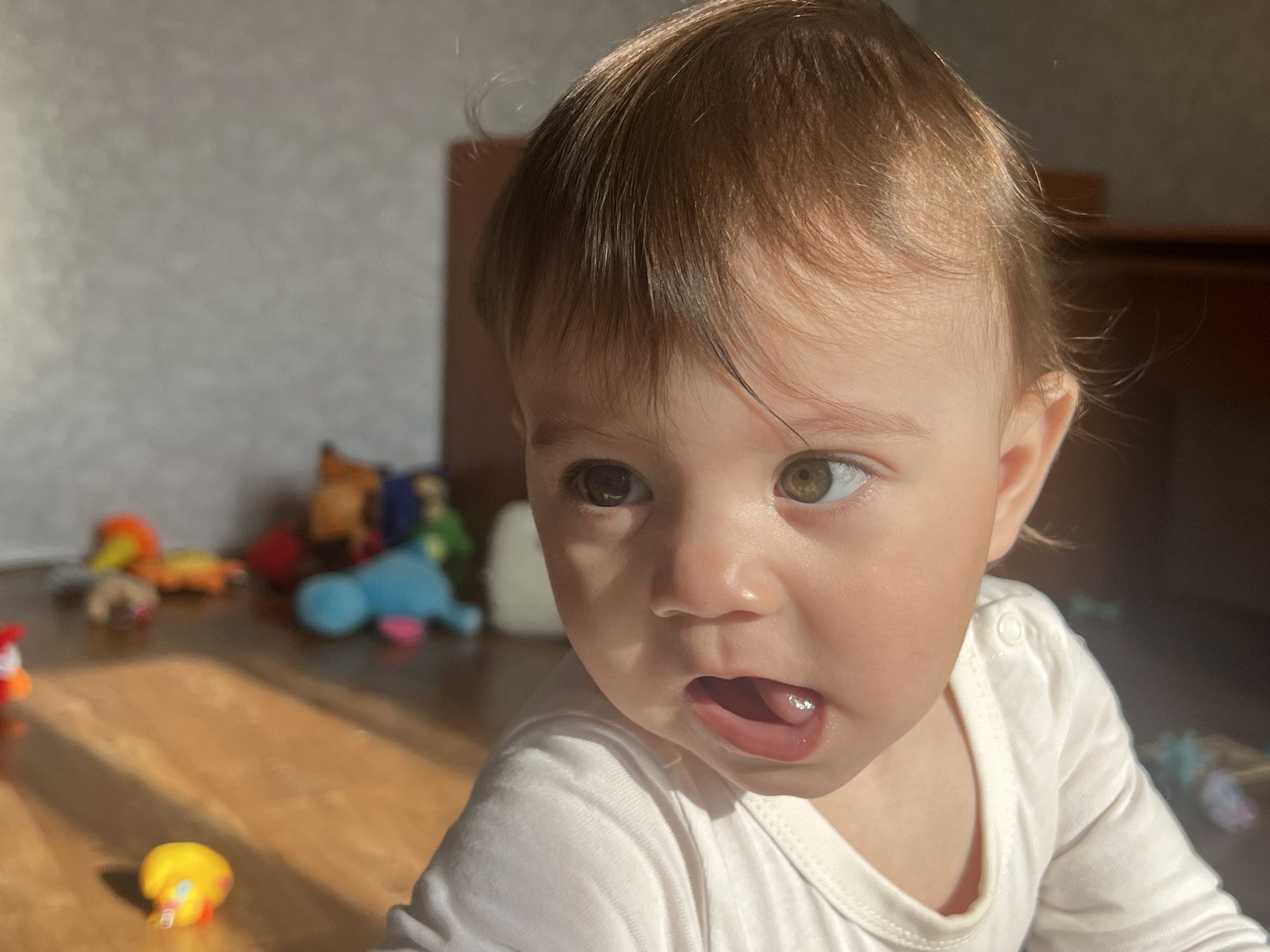The image depicts an infant in an indoor residential setting. The infant, positioned in the foreground and right side of the frame, has light skin, dark brown hair, and an open mouth revealing the tongue. The infant's brown eyes exhibit a hazel tone in the right iris. They are dressed in a plain white long-sleeved top. The infant's head is turned to the left, gazing off-camera. Strong sunlight illuminates the infant's face and the light brown wooden floor. In the blurred background to the left, several colorful toys are scattered on the floor, including a yellow object, an orange figure, and a blue plush toy. A light-colored, textured wall is visible in the upper left background, while darker, indistinct furniture elements appear in the upper right. The specific location within the city of Elena, Bulgaria, is not discernible from the image content.
