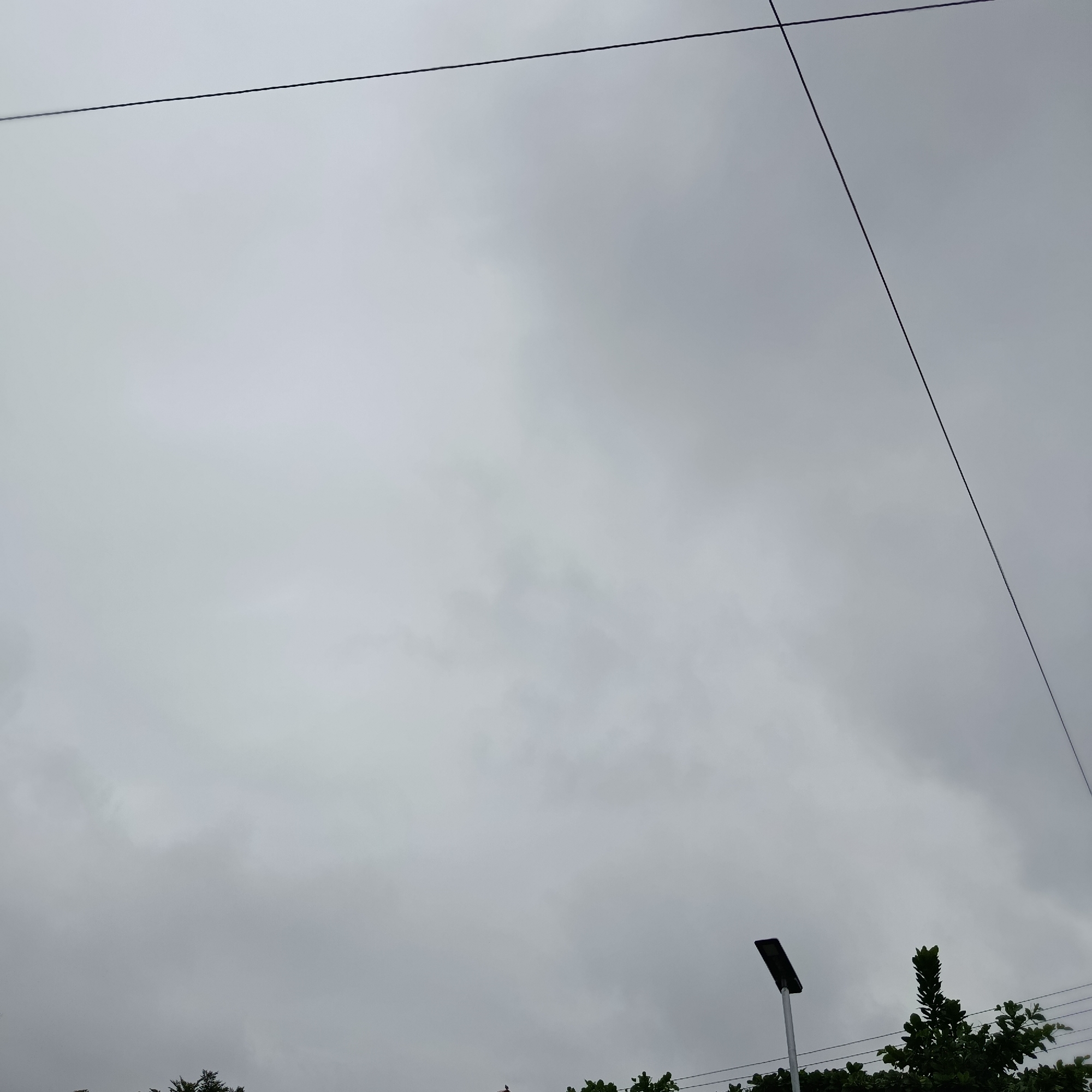 The image depicts an overcast sky above the city of Gwarinpa, Nigeria. Two dark electrical wires cross diagonally against the muted gray clouds, with one running from the upper left towards the center and another from the upper right descending towards the lower right. In the lower section of the frame, a modern, black solar-powered street lamp on a white pole is visible on the left. To the right of the lamp, the dark green foliage of trees forms a border along the bottom edge of the image, with some of the leaves appearing sharp and defined. The overall atmosphere is somber, indicative of cloudy weather.