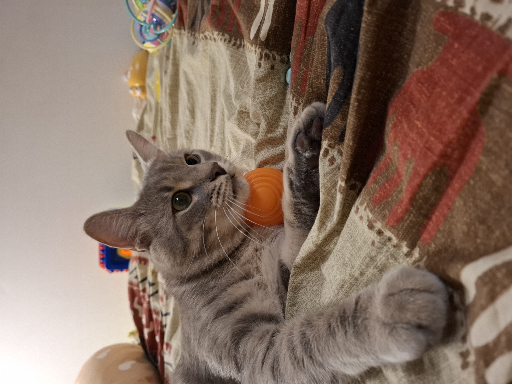 A gray tabby cat with green eyes lies on a bed covered with a patterned blanket. The cat has an orange toy around its neck, resting against its chest. The blanket has a design of red and brown shapes, possibly representing abstract figures or plants. In the background, several colorful children's toys are visible, including a yellow object resembling a ladybug and a multi-colored ball toy. The setting appears to be a domestic indoor environment. No location in Zemun Urban Municipality, Serbia can be identified from the image.