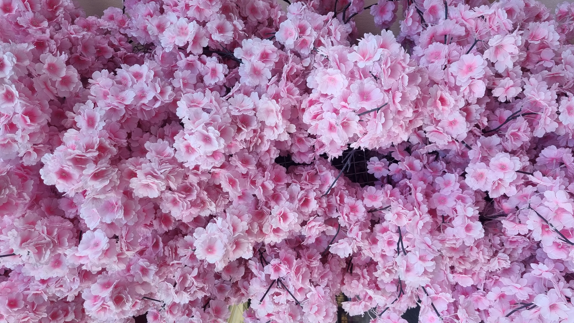 The image is a close-up, full-frame shot of a dense cluster of artificial pink cherry blossoms. The blossoms are layered and overlapping, creating a soft, textured appearance. Each individual flower has multiple delicate petals, with a deeper pink hue at the center. Thin, dark stems are visible throughout the arrangement, holding the clusters of flowers together. There are no people, animals, or distinct objects visible in the scene, only the overwhelming abundance of the floral display. The background is indistinct, a soft blur that further emphasizes the flowers. The image appears to be taken indoors or in a sheltered outdoor space, given the artificial nature of the blossoms and lack of natural light variations. The context of Chernivtsi, Ukraine, is not visually evident from the image itself.