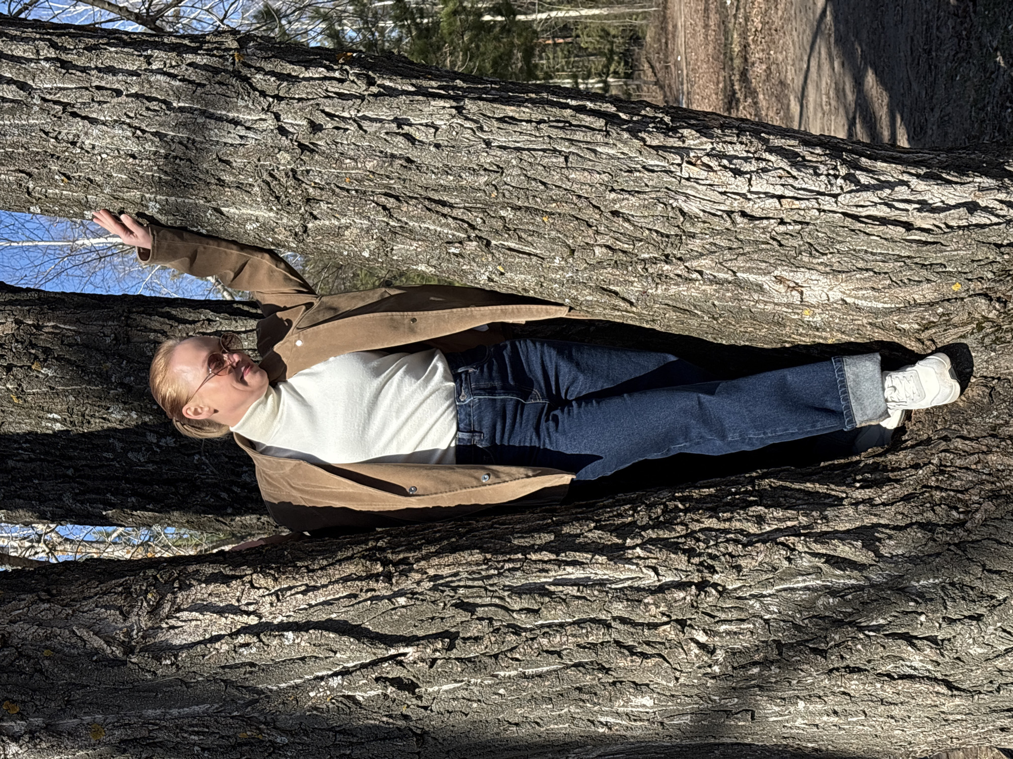 An adult individual is lying horizontally across a thick, textured tree trunk outdoors. The image is oriented such that the tree trunk spans from the lower left to the upper right, with the person positioned between two large, parallel sections of the trunk.
The person appears to be a light-skinned female with blonde hair, wearing round-framed sunglasses. She is dressed in a white turtleneck sweater, a brown suede or similar material jacket, and dark blue jeans that are cuffed at the ankles, revealing white sneakers. Her left arm is slightly bent and resting on the tree trunk above her head, while her right arm is extended downwards. Her head is tilted slightly back, looking towards the sky. The pose suggests a moment of relaxation or contemplation.
The tree trunk itself has deep, gnarled bark, showing significant texture and varying shades of gray and brown. Sunlight casts strong shadows, highlighting the rugged surface of the bark. In the background, beyond the tree, there's a glimpse of a bright blue sky with bare tree branches, suggesting late winter or early spring. Further in the background, a dirt path or road is visible, flanked by more trees and sparse vegetation, implying a natural setting like a forest, park, or rural area in Noviy, Russia. The bright sun indicates a clear, sunny day. No text is visible in the image.