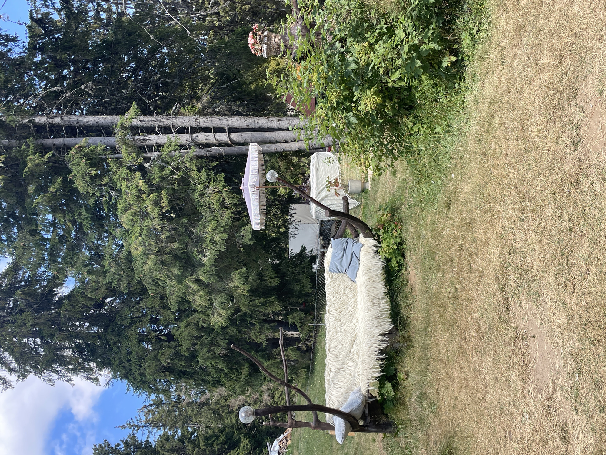 The image depicts a rustic outdoor seating area in a forest or wooded environment, likely in or near Smolyan, Bulgaria. In the foreground, a wooden couch covered with a thick, shaggy white sheepskin is the central object. Two light blue cushions rest on the sheepskin. The couch is framed by dark, weathered wood branches, with a glass sphere light fixture attached to one of the supports. To the right of the couch, a dense green bush with red berries grows. In the mid-ground, a light purple fringed umbrella with a white pattern stands over a table covered with a cream-colored tablecloth. A potted plant sits near the table. Further in the background, tall evergreen trees dominate the scene, interspersed with patches of blue sky and clouds. The ground is covered with dry, yellowed grass. The overall impression is one of a serene, natural setting with a touch of handmade charm.