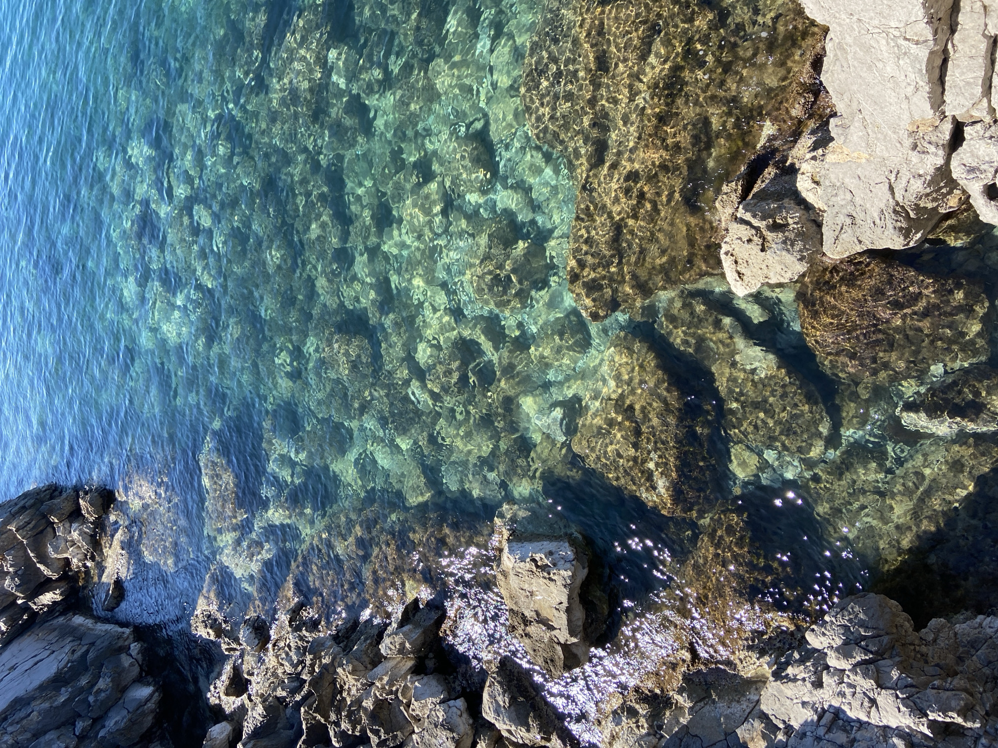 The image depicts a rocky coastline meeting the clear turquoise sea in Budva, Montenegro. Rocks of varying sizes and textures form the shore, transitioning from dark grey to light beige. The water is translucent, revealing the seabed and reflecting sunlight. The left side of the image shows deeper blue water, gradually changing to lighter turquoise closer to the shore, exposing underwater rocks and structures. The overall scene suggests a natural, unspoiled coastal environment with a rocky interface between land and sea.