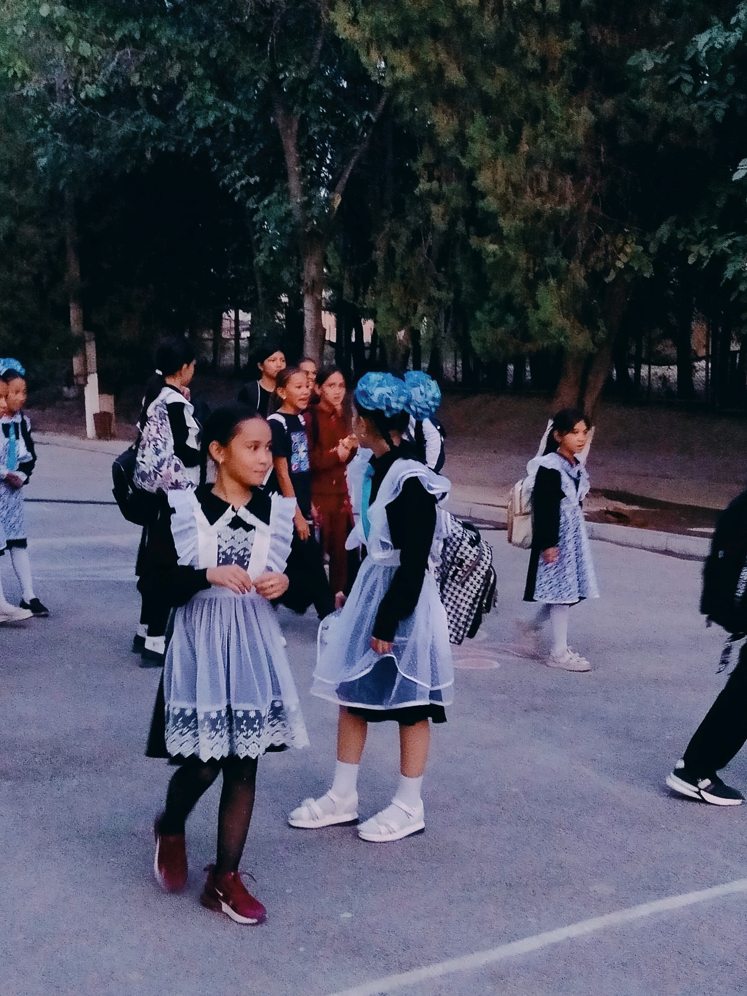 Memory