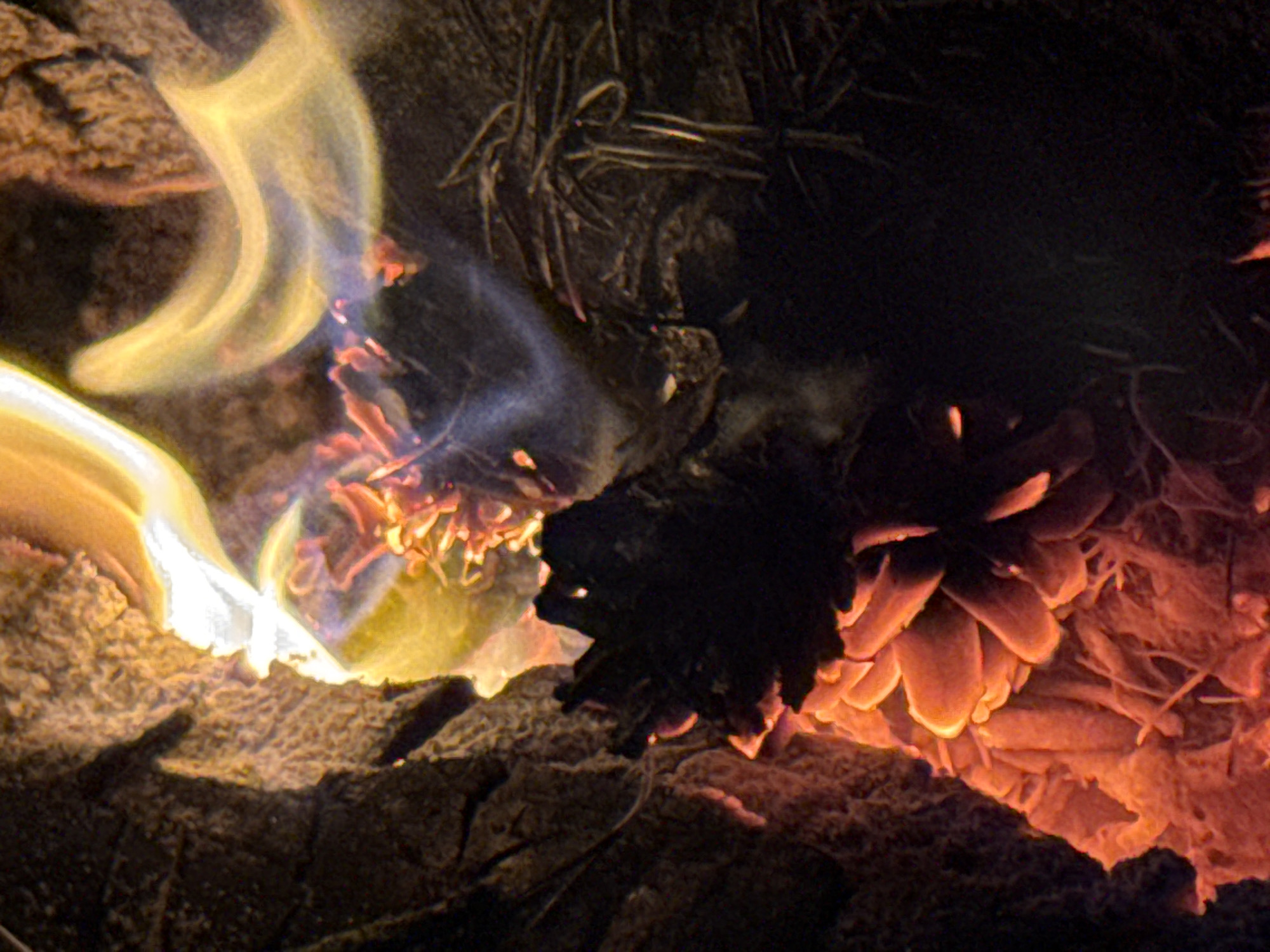 This close-up image depicts an active combustion scene, likely a bonfire or fireplace, located in Shepelevo, Russia. Dominant features include bright yellow and white flames vigorously rising from intensely glowing, red-orange organic material. In the lower-left quadrant, a distinct, large, reddish-orange structure resembling a burning pine cone or similar botanical element is visible, surrounded by smaller, fiery red embers and fibrous, crystalline-like residues. To the immediate left, a dark, textured surface, possibly charred wood or earth, is illuminated by the fire's glow. In the mid-right, dark, elongated, charred material, possibly dried branches or plant fibers, is present. Wispy, yellowish flames curve towards the top-right, and a faint blue-purple streak, indicative of specific chemical combustion or smoke, appears near the center. The environment is dark, suggesting a nighttime setting or an enclosed space, with the fire serving as the primary light source. No human subjects or additional man-made objects are discernible.