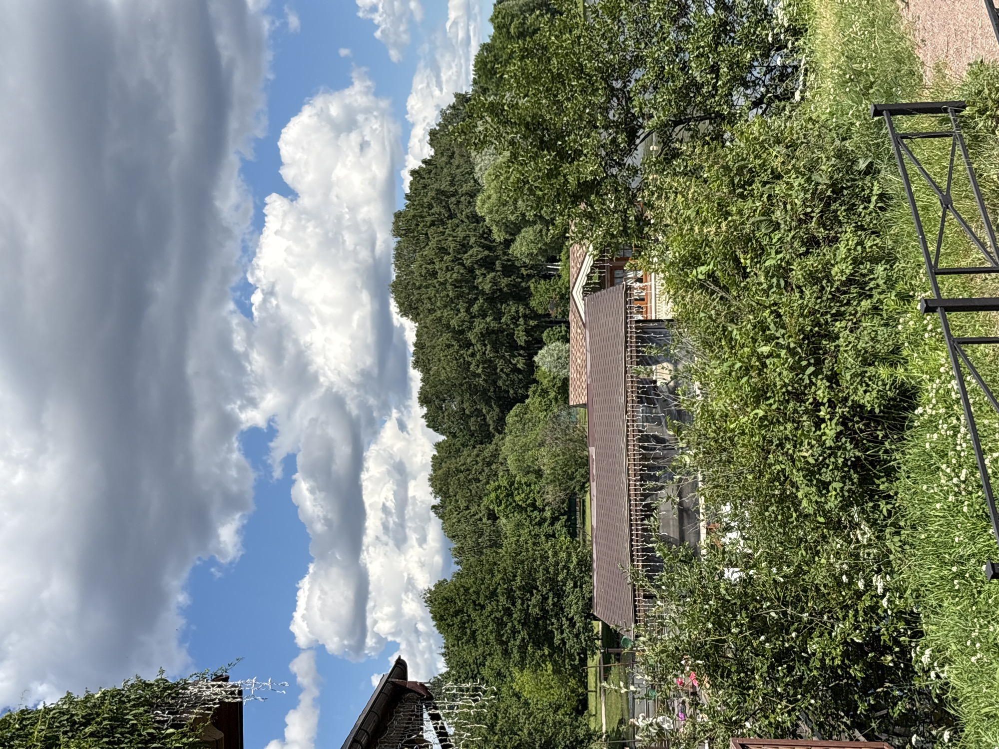 The image depicts a suburban or rural scene in Saint Petersburg, Russia, on a partly cloudy day. The foreground features a brown-tiled roof of a building, partially covered by lush green ivy. White decorative elements, possibly lights or streamers, are draped along the edge of the roof. To the right, a black metal fence or trellis is visible, bordering a dense area of greenery, including shrubs and tall grass dotted with small white flowers.
In the mid-ground, another building with a similar brown-tiled roof is partially obscured by trees. A line of dense, dark green trees forms a backdrop, suggesting a wooded area or forest. Above the trees, a bright blue sky is filled with dramatic, puffy white and grey clouds. The sunlight suggests it is daytime, likely late morning or early afternoon, given the brightness and cloud formations. The scene conveys a sense of nature and residential tranquility. There is no visible text in the image.
