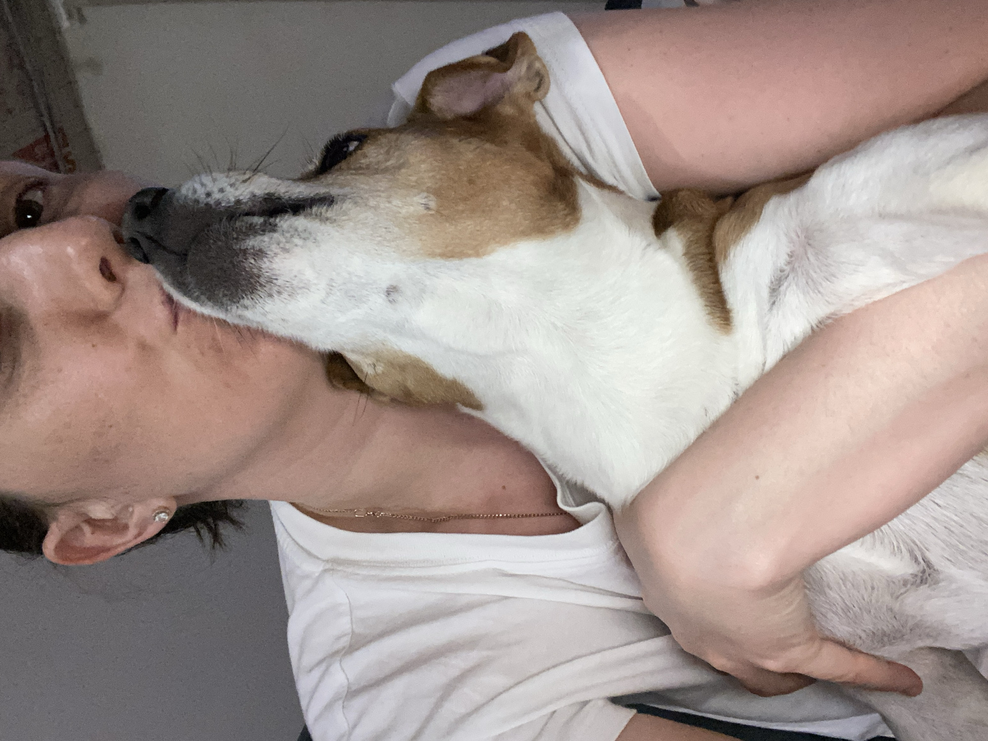 A woman with brown hair is holding a brown and white dog in her arms, kissing its nose. She is wearing a white T-shirt and a delicate gold chain necklace. Her left ear is visible, featuring a small, sparkling stud earring. The background is a neutral gray wall. There is no evidence that the image was taken in Chaikovsky, Russia.