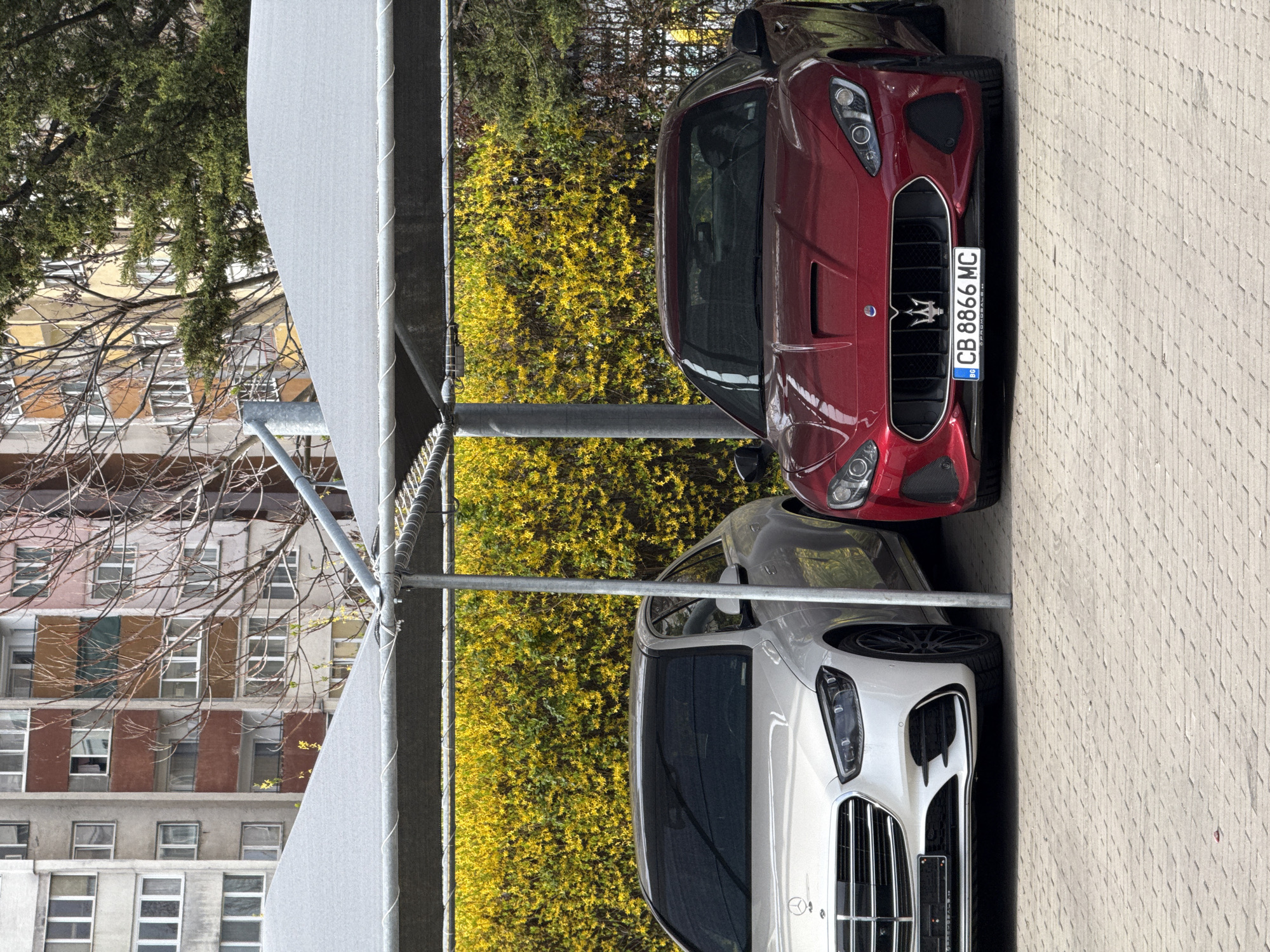 The image shows two parked Maserati cars, a red GranTurismo and a white Levante, in what appears to be an urban setting. The red GranTurismo has a Bulgarian license plate, CB 8866 MC. A building is visible in the background, and yellow flowers are growing along a fence or hedge behind the cars. The location is likely in Sofia, Bulgaria, given the license plate origin. The image is taken from under a structure, possibly a parking canopy.