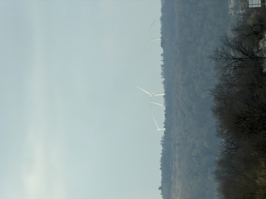 An elevated long shot depicts a landscape in Pagny-sur-Meuse, France, under an overcast, light blue-grey sky that occupies the upper two-thirds of the frame. Five white wind turbines are visible against the sky, positioned above a dense, dark green-grey forest that forms the midground. The turbines have two or three blades, angled at various positions. The forest consists primarily of bare or sparsely leaved deciduous trees. In the foreground, darker, more defined bare deciduous trees dominate the lower portion of the image, some displaying white blossoms or light-colored branches. A small section of a light-colored building roof or structure, along with a partially obscured white rectangular sign, is visible in the bottom right, beneath the foreground trees, indicating distant infrastructure. No individuals or active subjects are present.