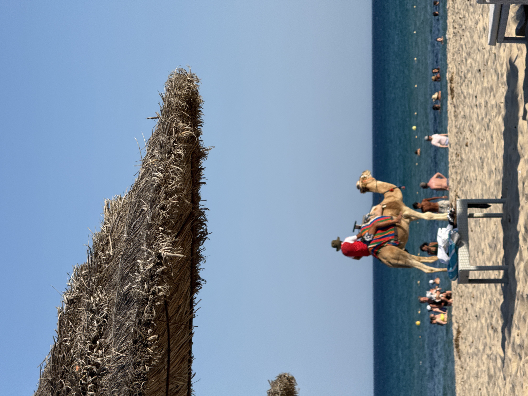 The image depicts a sunny day at a beach in Yasmine Hammamet, Tunisia. In the foreground, a thatched beach umbrella casts a shadow over the sand. Further back, a person wearing a red shirt and a hat rides a camel, which is adorned with a colorful saddle blanket. The camel stands on the sandy shore, facing the turquoise waters of the Mediterranean Sea. In the sea, several people are swimming and enjoying the water. The sky is clear blue, with a few yellow buoys visible in the water. A low table with towels and sandals is placed on the sand near the camel.