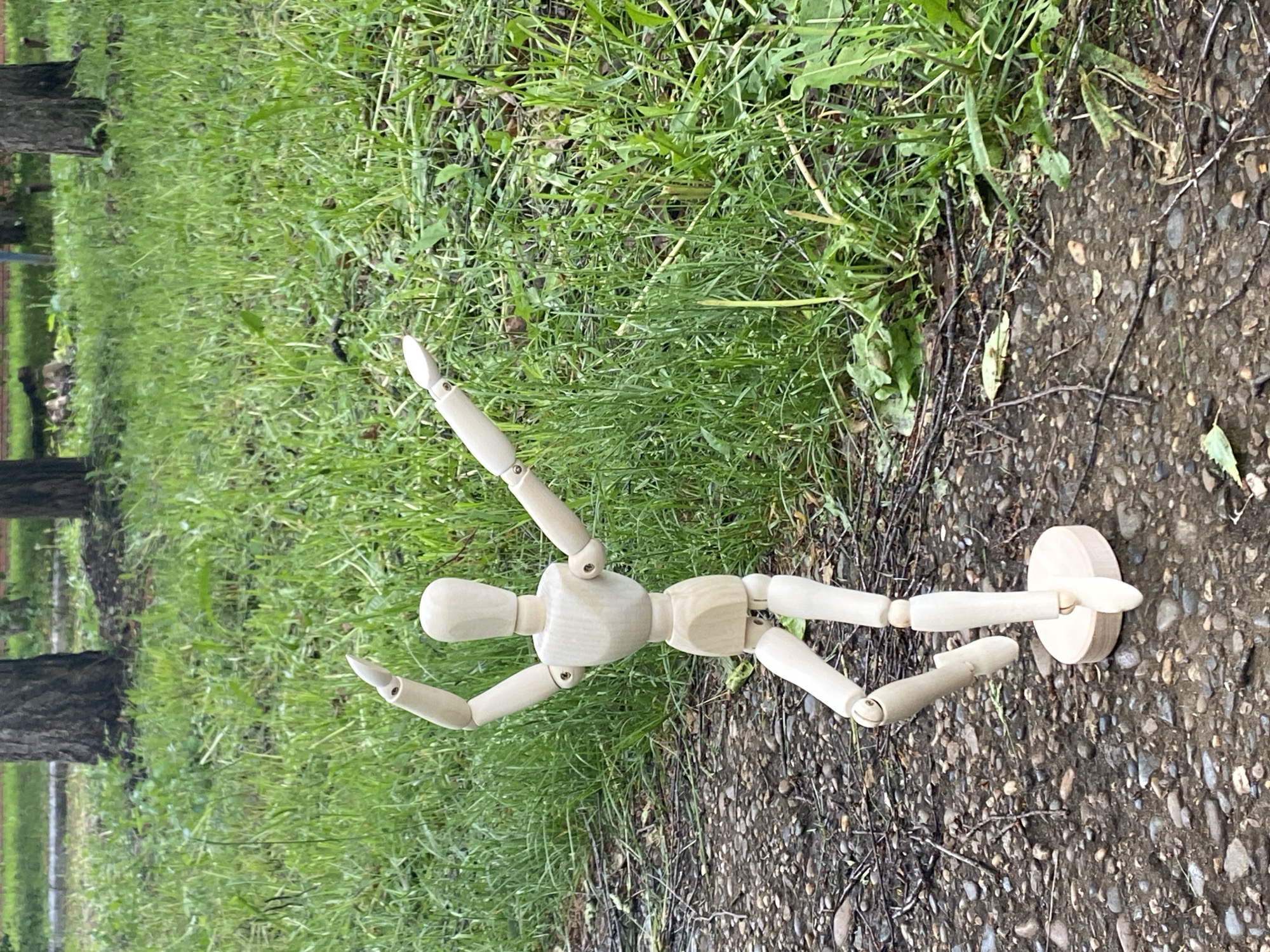 The media file displays a light-colored, articulated wooden art mannequin posed outdoors on a path in what appears to be a park or natural setting in Chaikovsky, Russia.
The primary subject is the mannequin, which is depicted in a dynamic, upward-stretching pose. Its arms are raised and slightly bent, with hands open, as if reaching or balancing. One leg is extended forward and slightly upward, while the other supports the mannequin on its circular wooden base, which rests on the ground.
The scene features a vibrant green grassy area behind and to the left of the mannequin. The dark, textured trunks of at least two trees are visible further in the background on the left. The ground beneath the mannequin and to its right is a path made of small, dark pebbles embedded in dirt.
Notable details include the soft, diffused lighting, suggesting an overcast daytime. Small twigs and fallen leaves are scattered on both the grass and the pebble path, indicating a natural environment. The grass is a lush green. There is no visible text in the image.